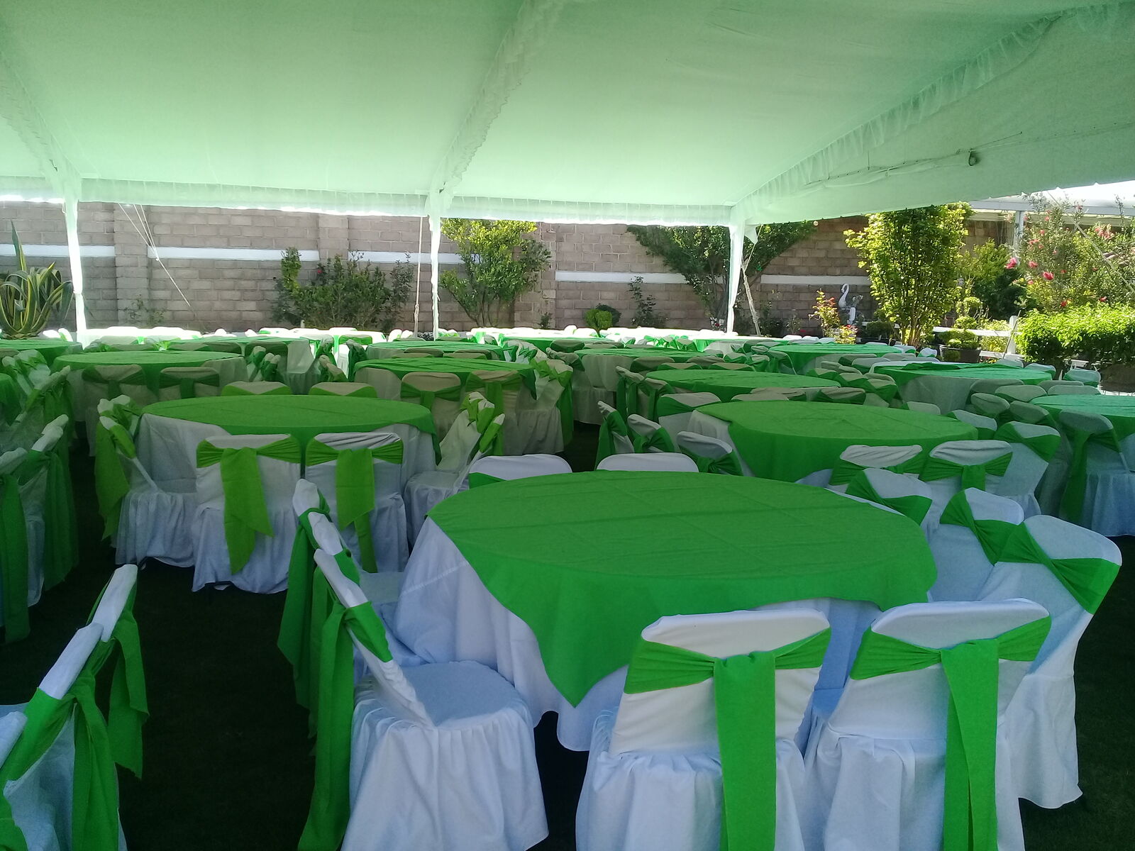 Salon Jardin Los Alcanfores image 8