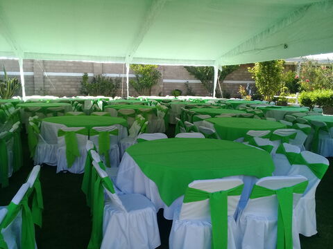 Salon Jardin Los Alcanfores image 8