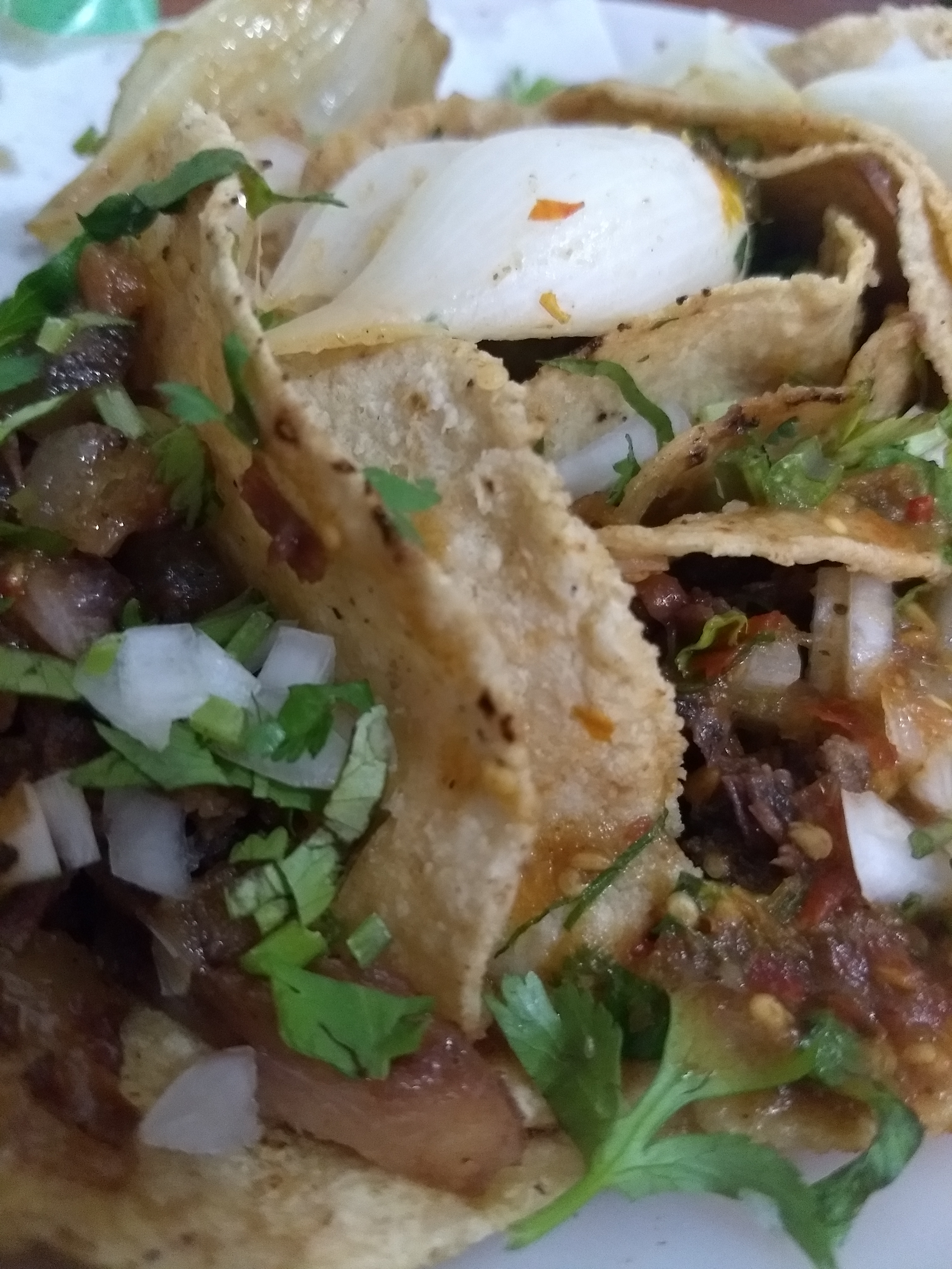 Tacos don Mérida image 4