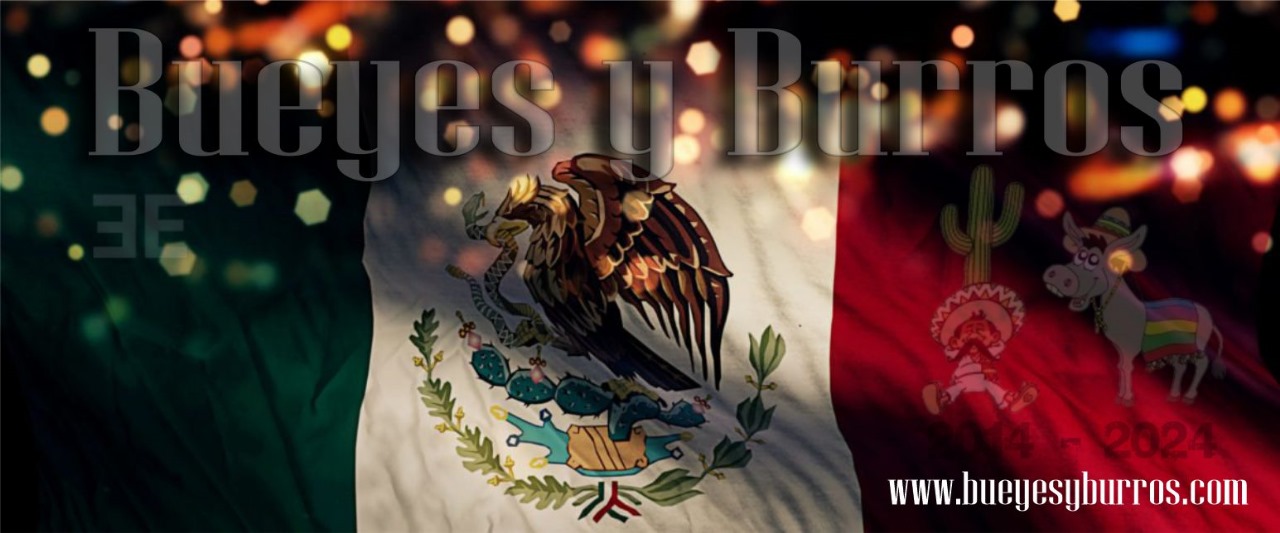 Bueyes Y Burros image 4