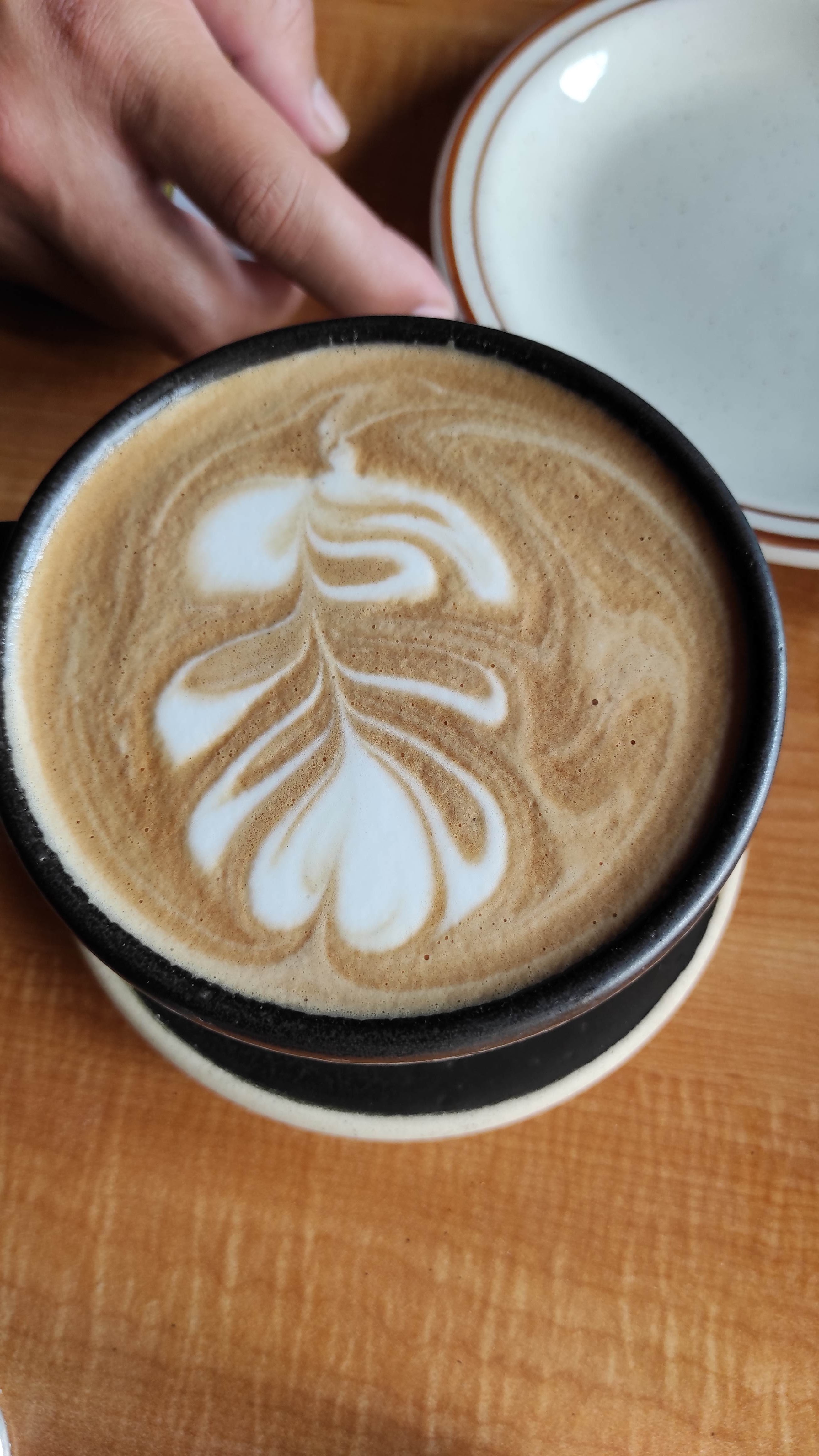 La Cabaña Del Encino image 2