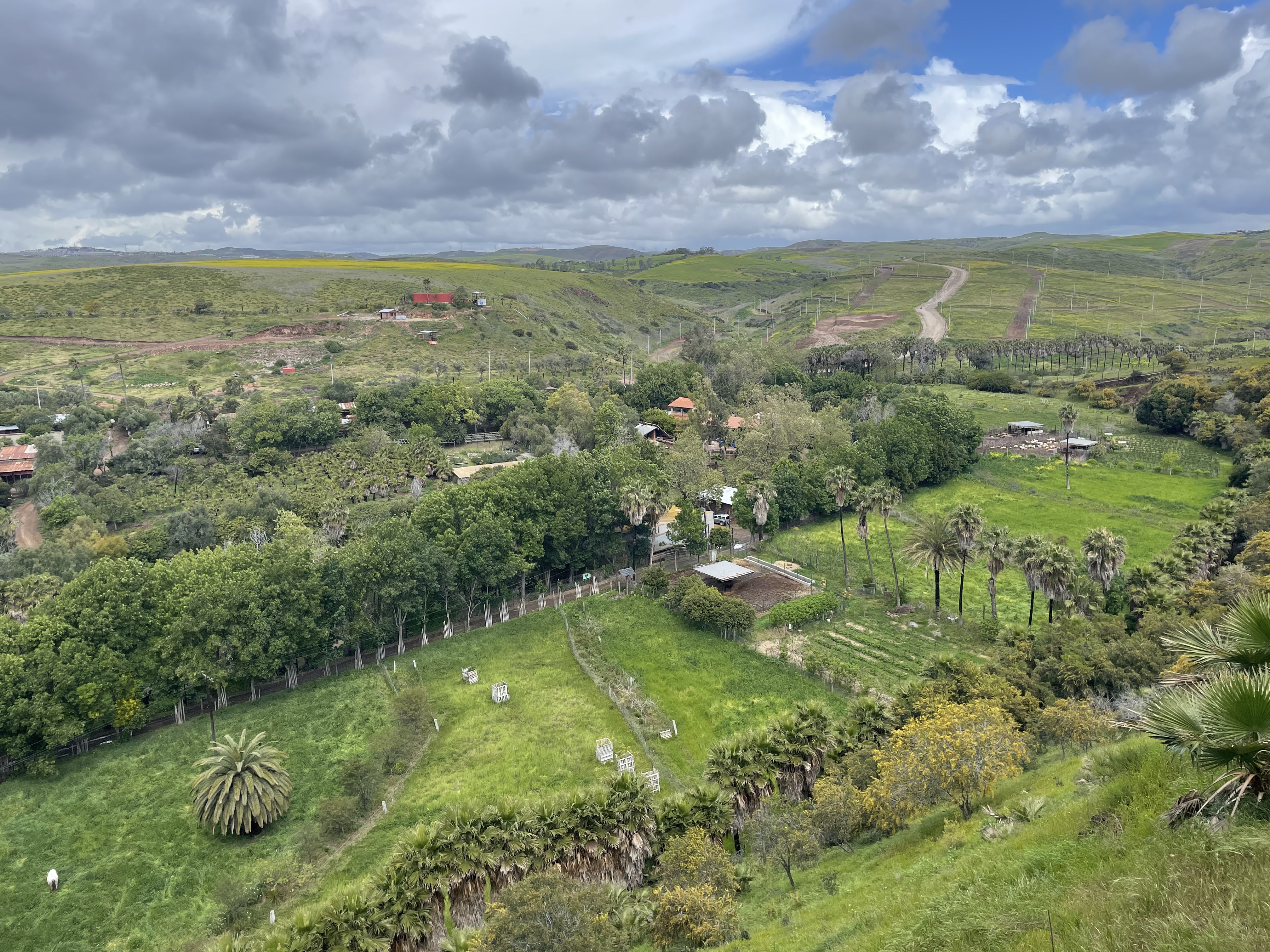 La Media Luna Restaurante image 3