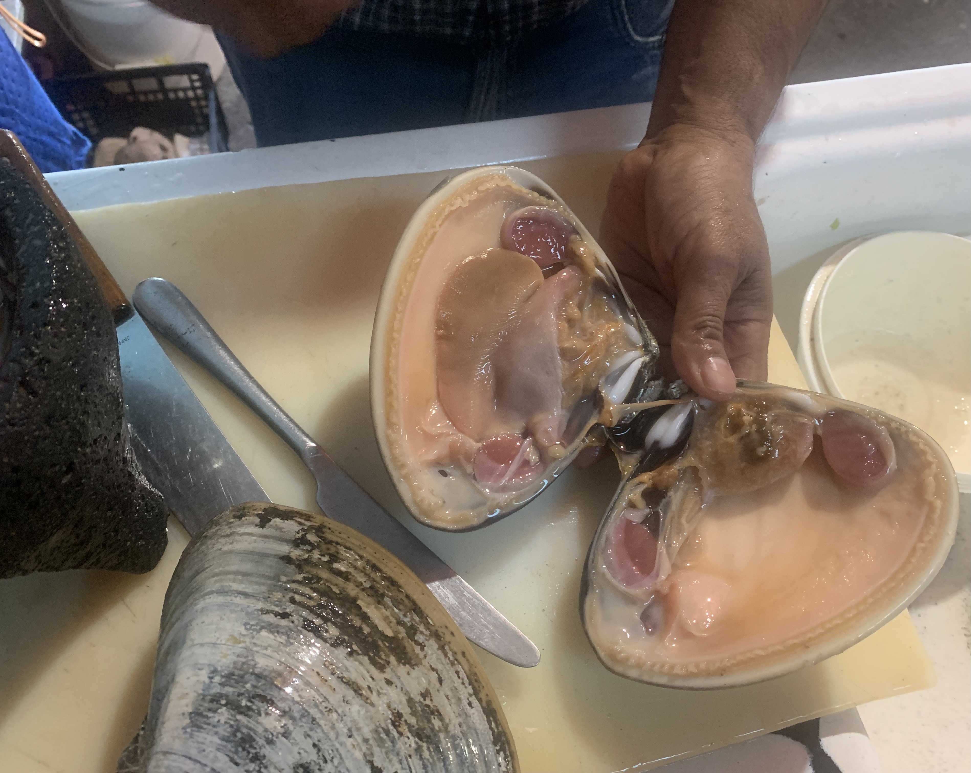 Mariscos Delmar image 3