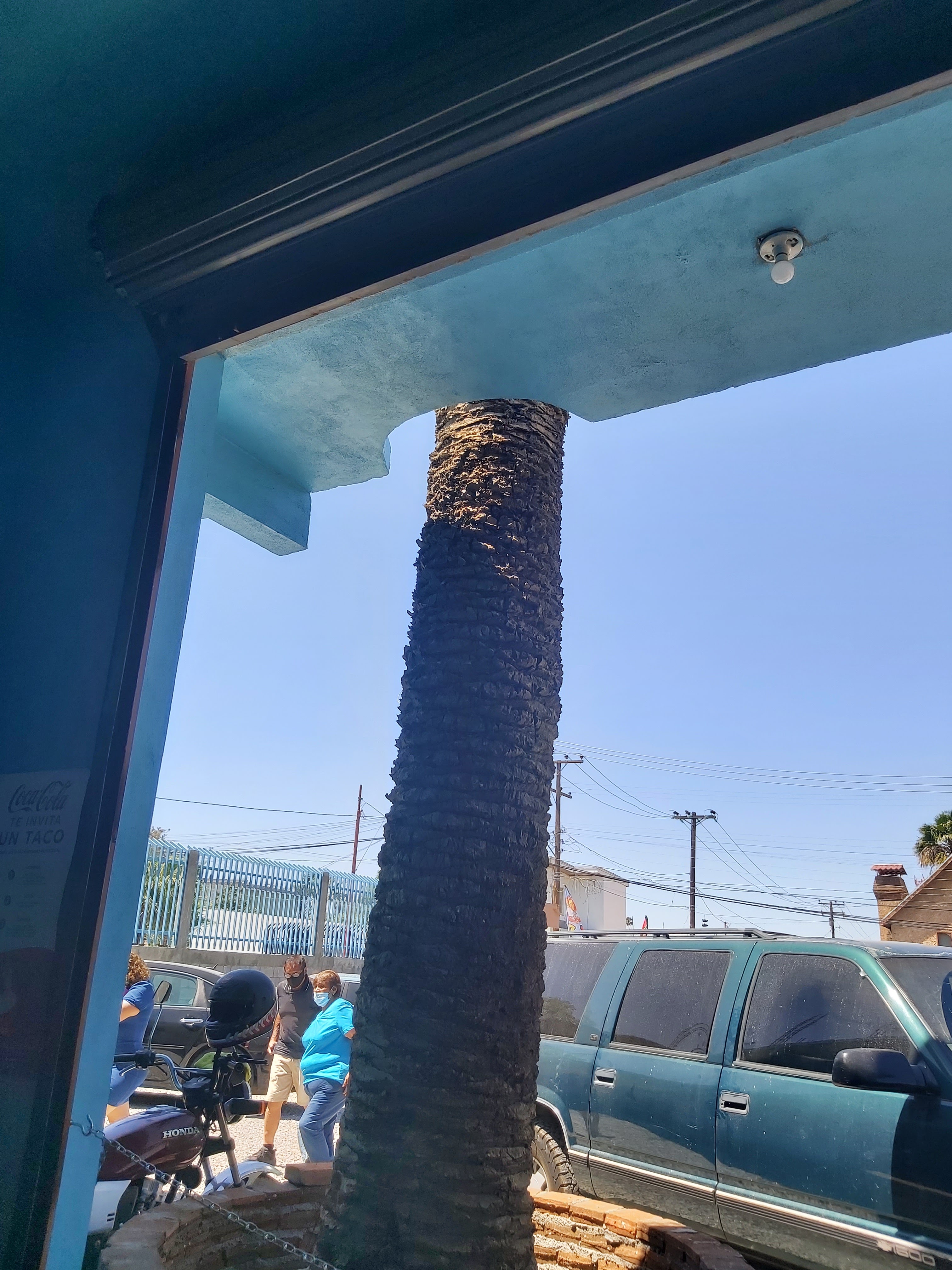 Tacos Casi Miro image 8