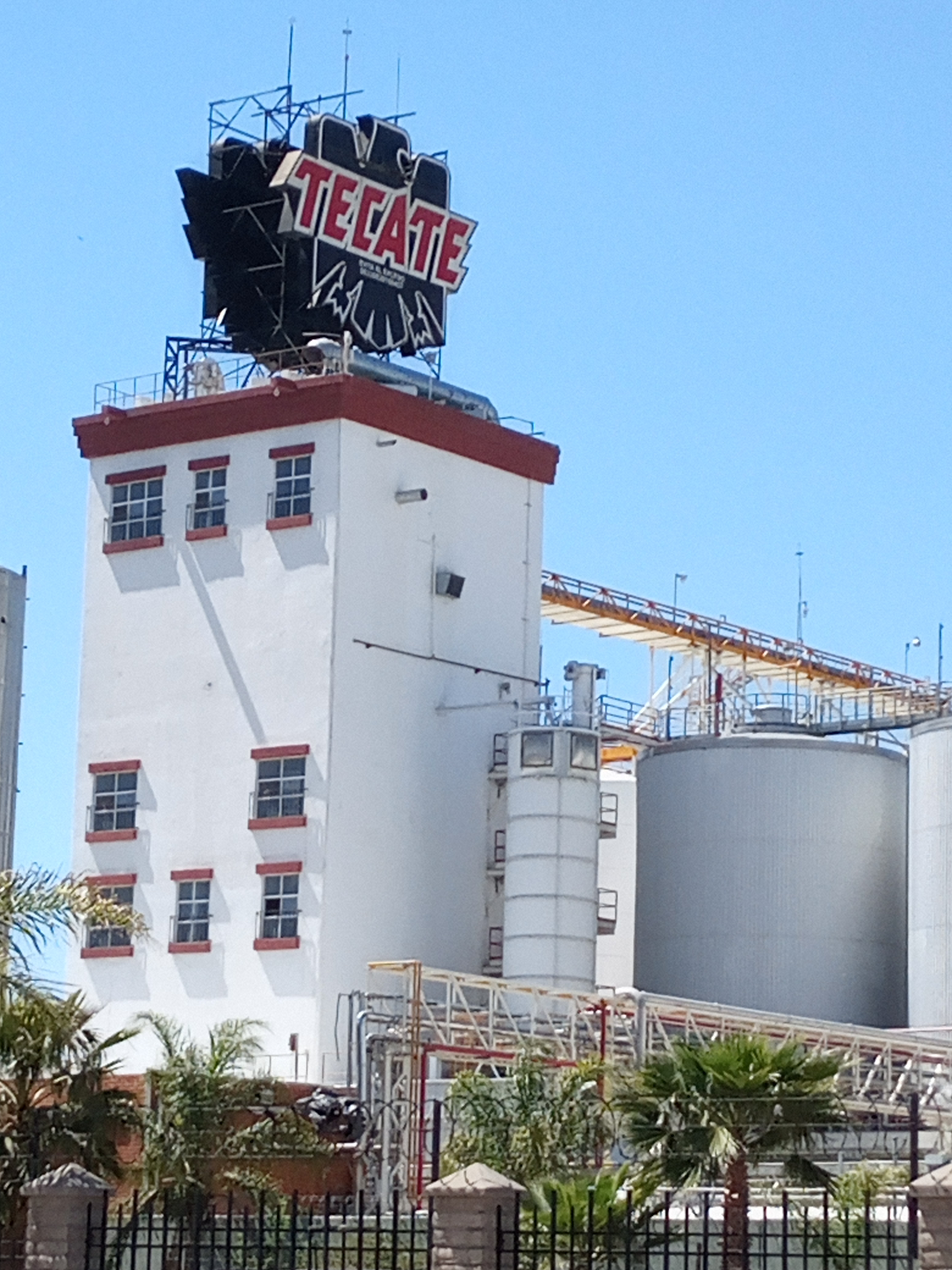 La cocina de Alicia Tecate image 3