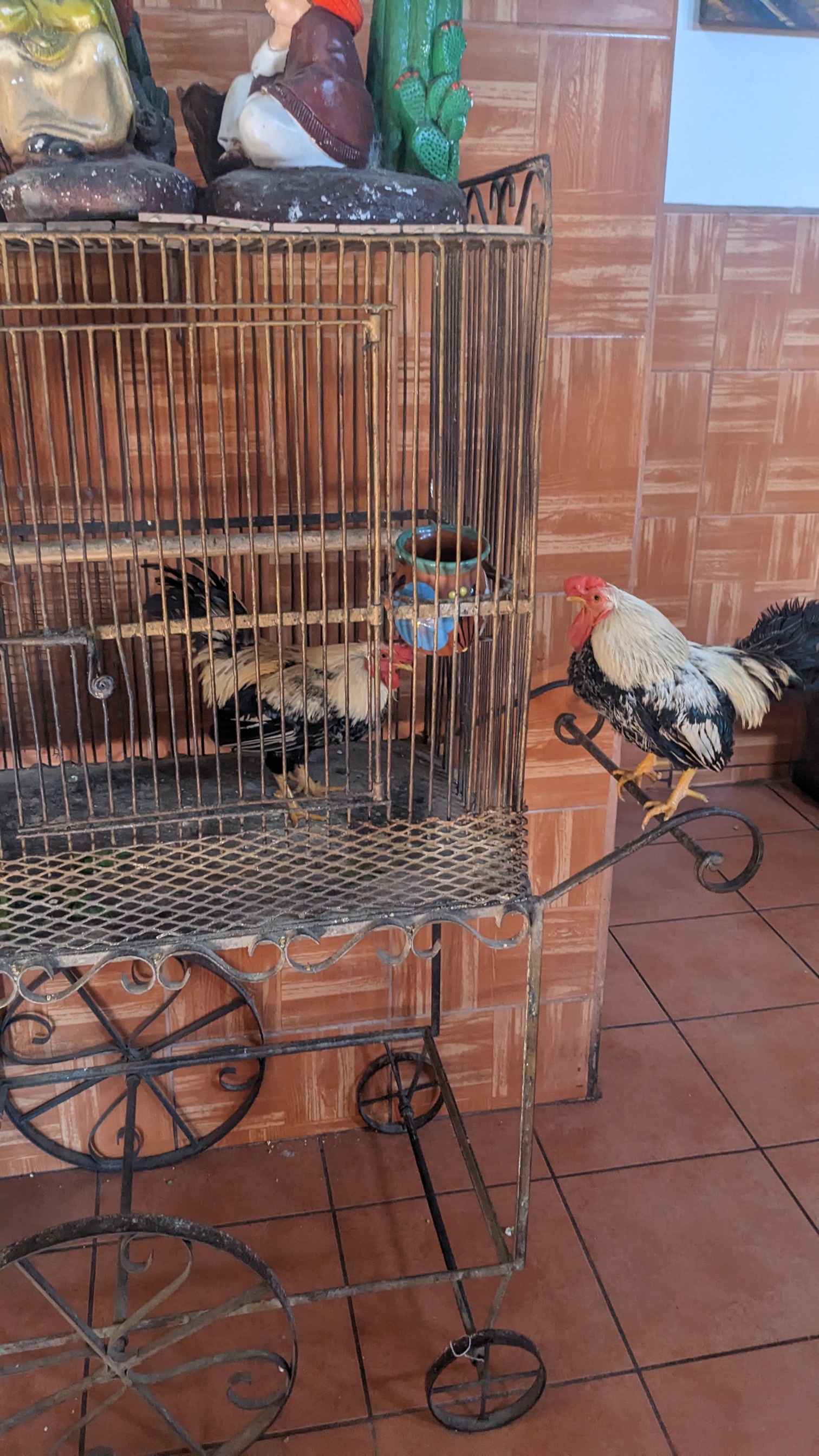 Restaurant Los Gallos image 10