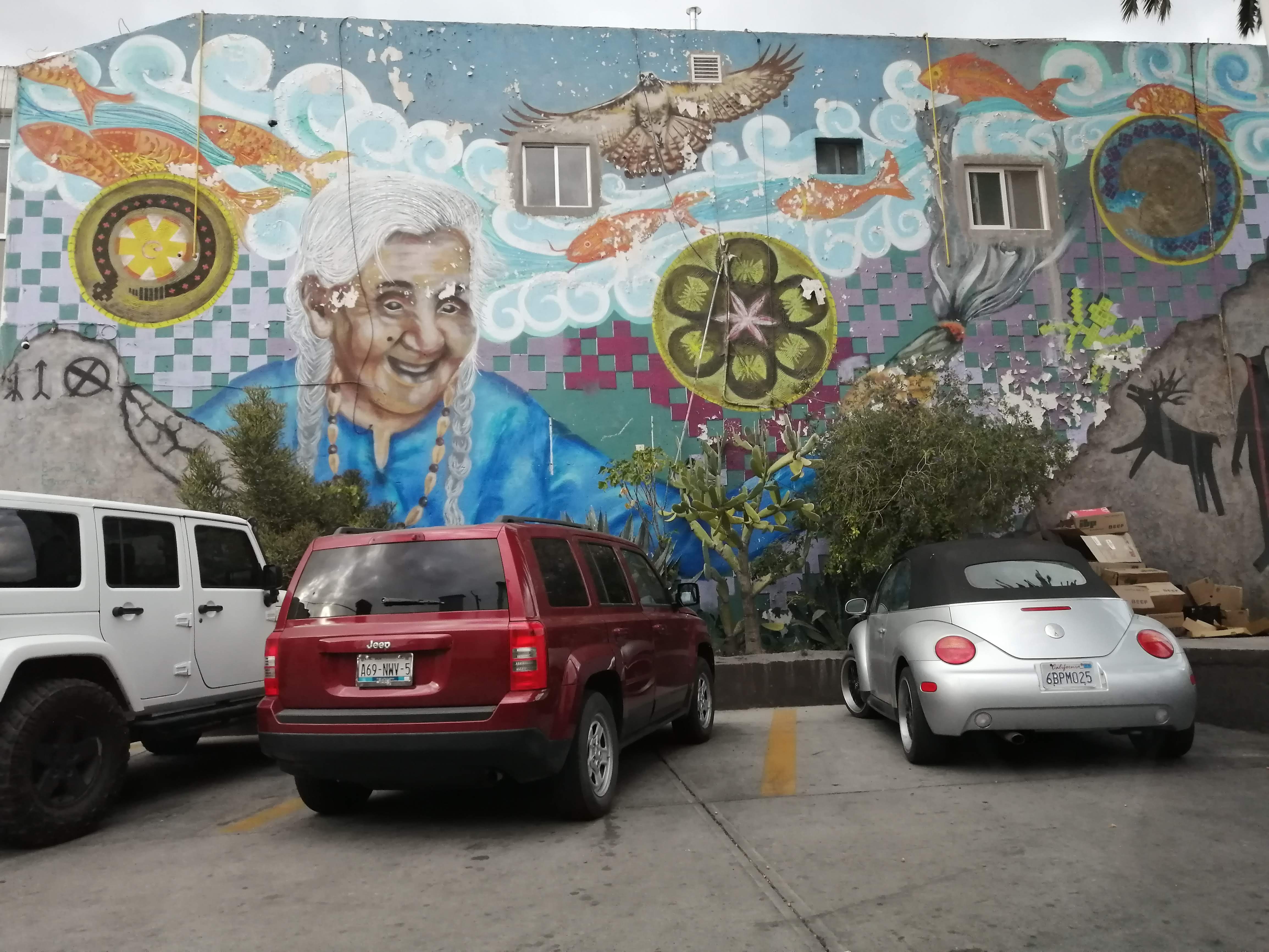 Taquería Los Amigos image 6