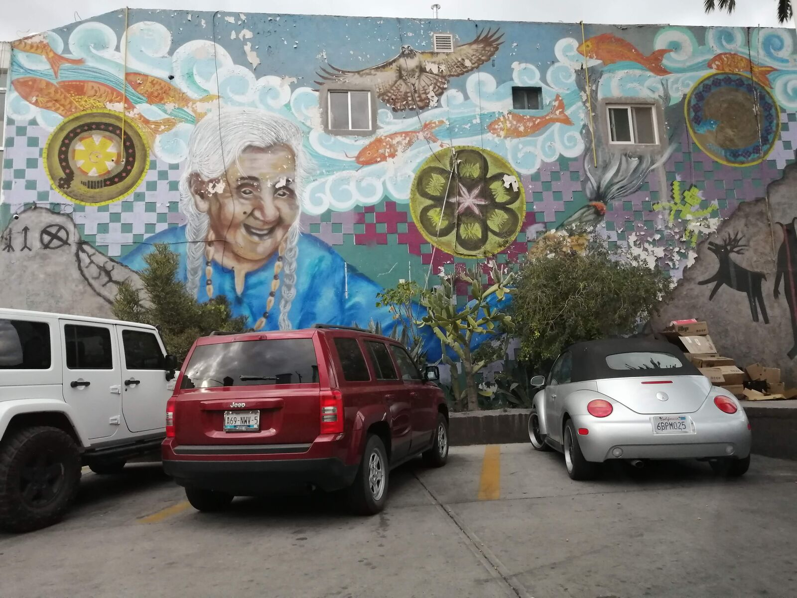 Taquería Los Amigos image 6