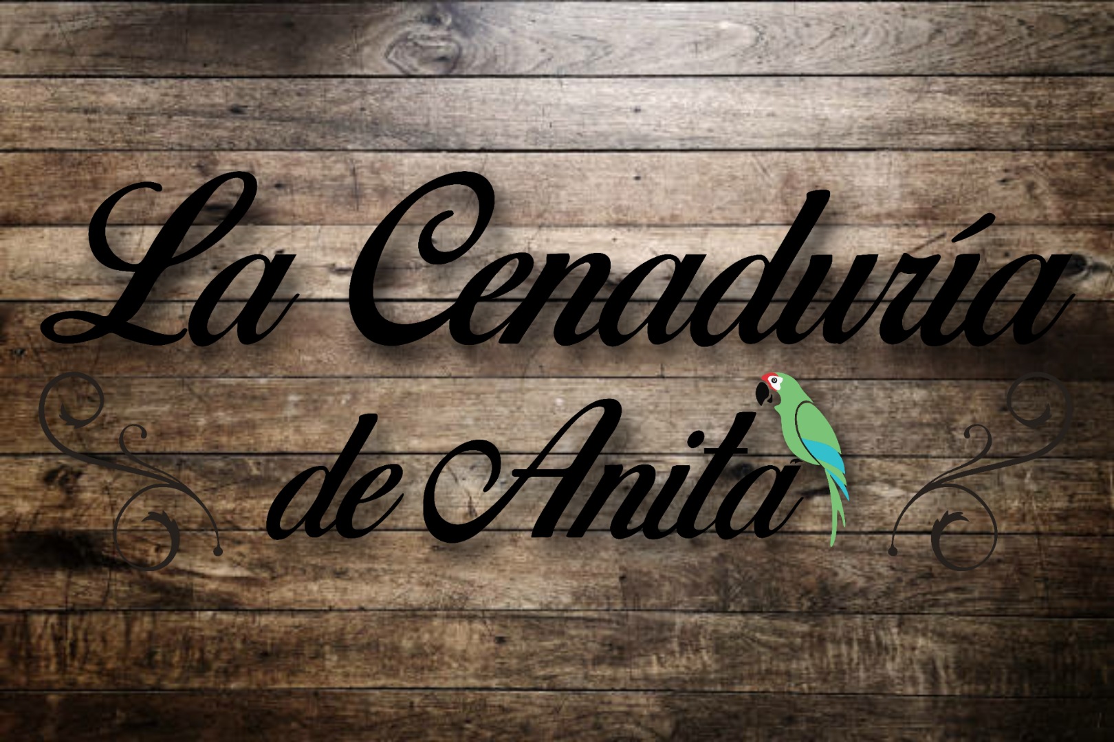 CENADURIA ANITA image 3