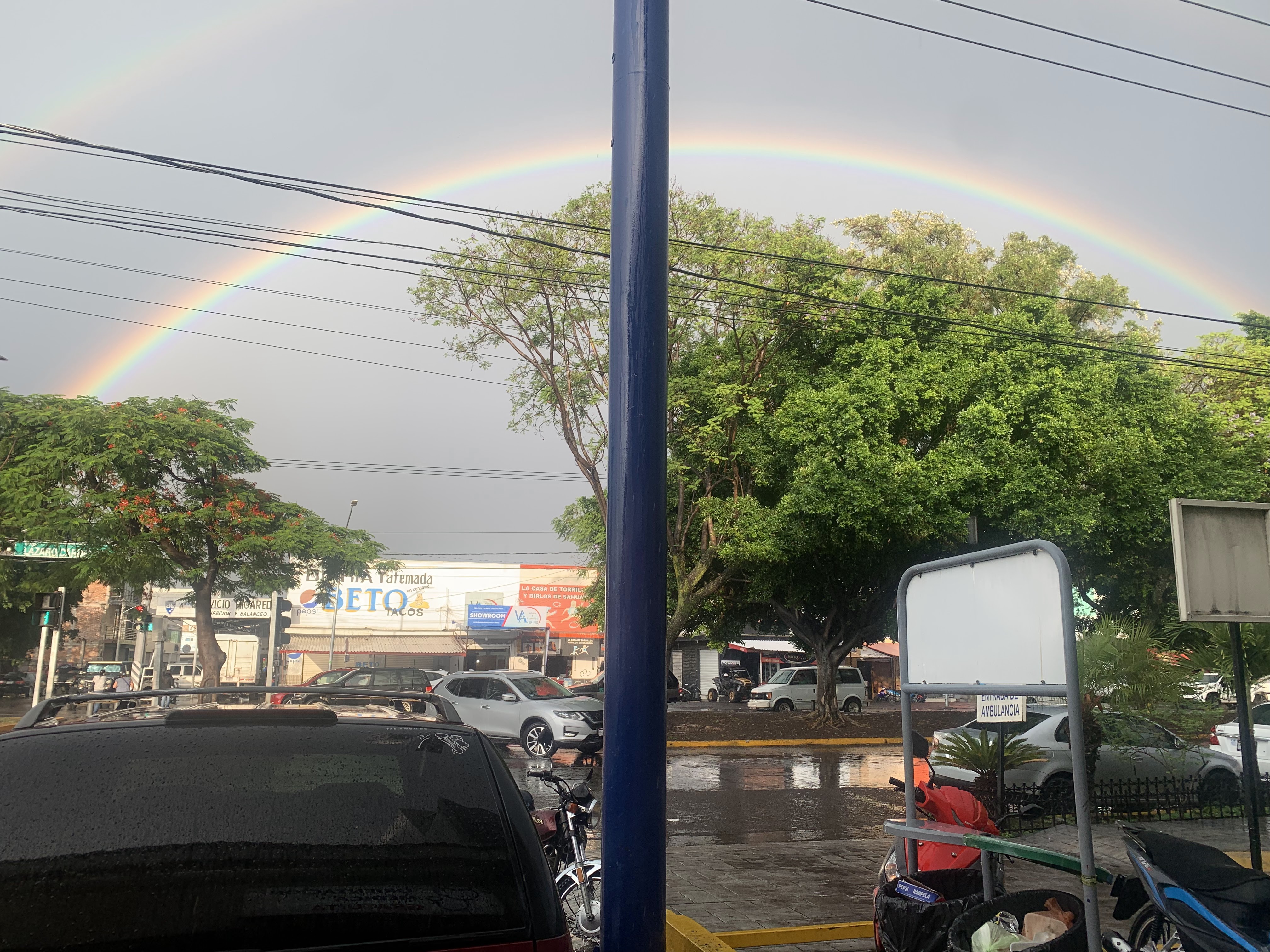 Birria Tatemada image 5