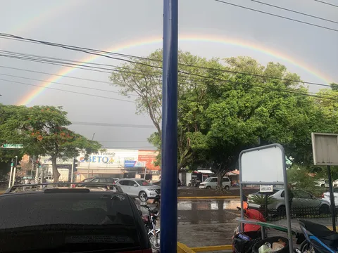 Birria Tatemada image 5
