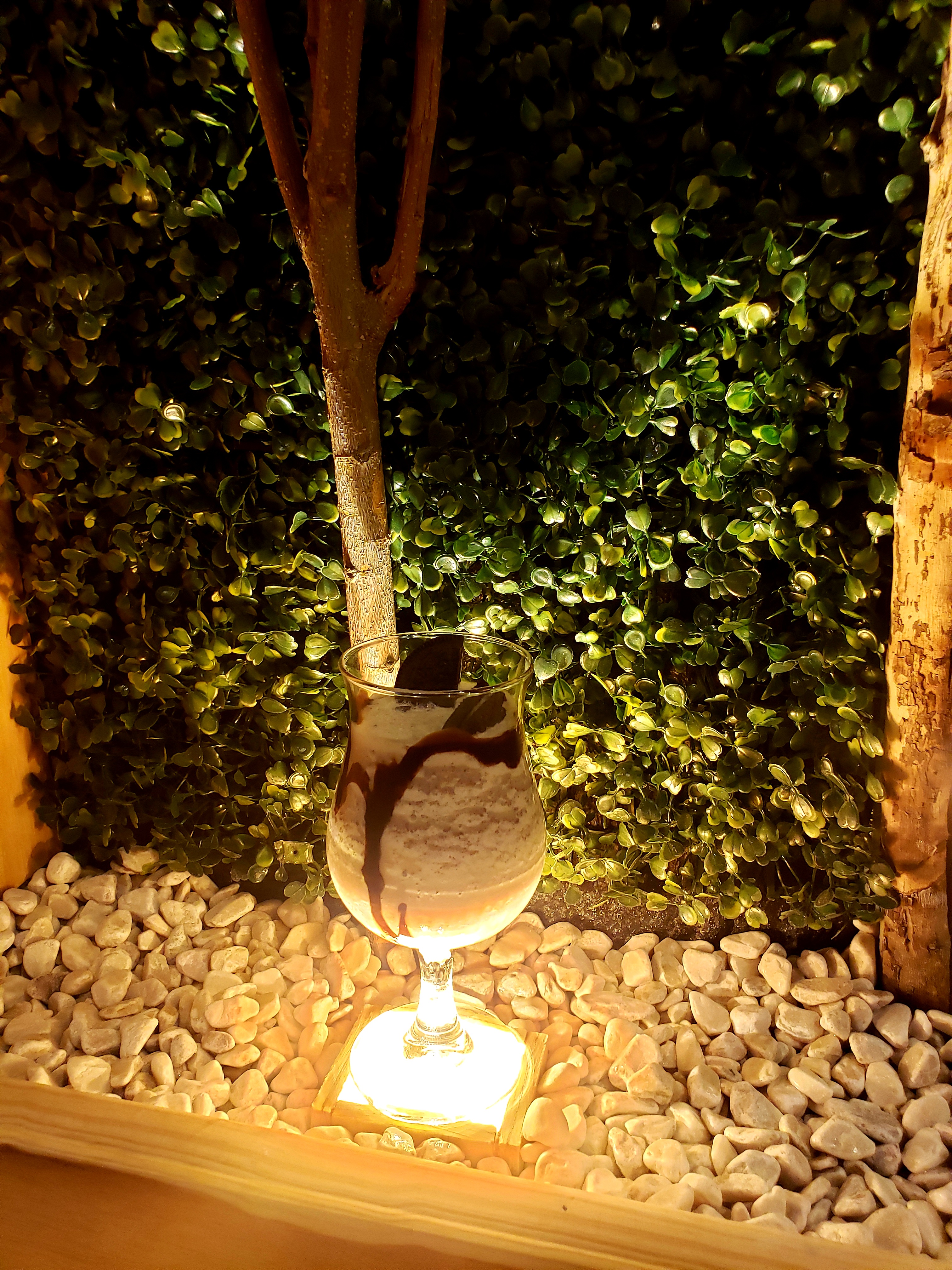 La Bahía del Chaguas image 3