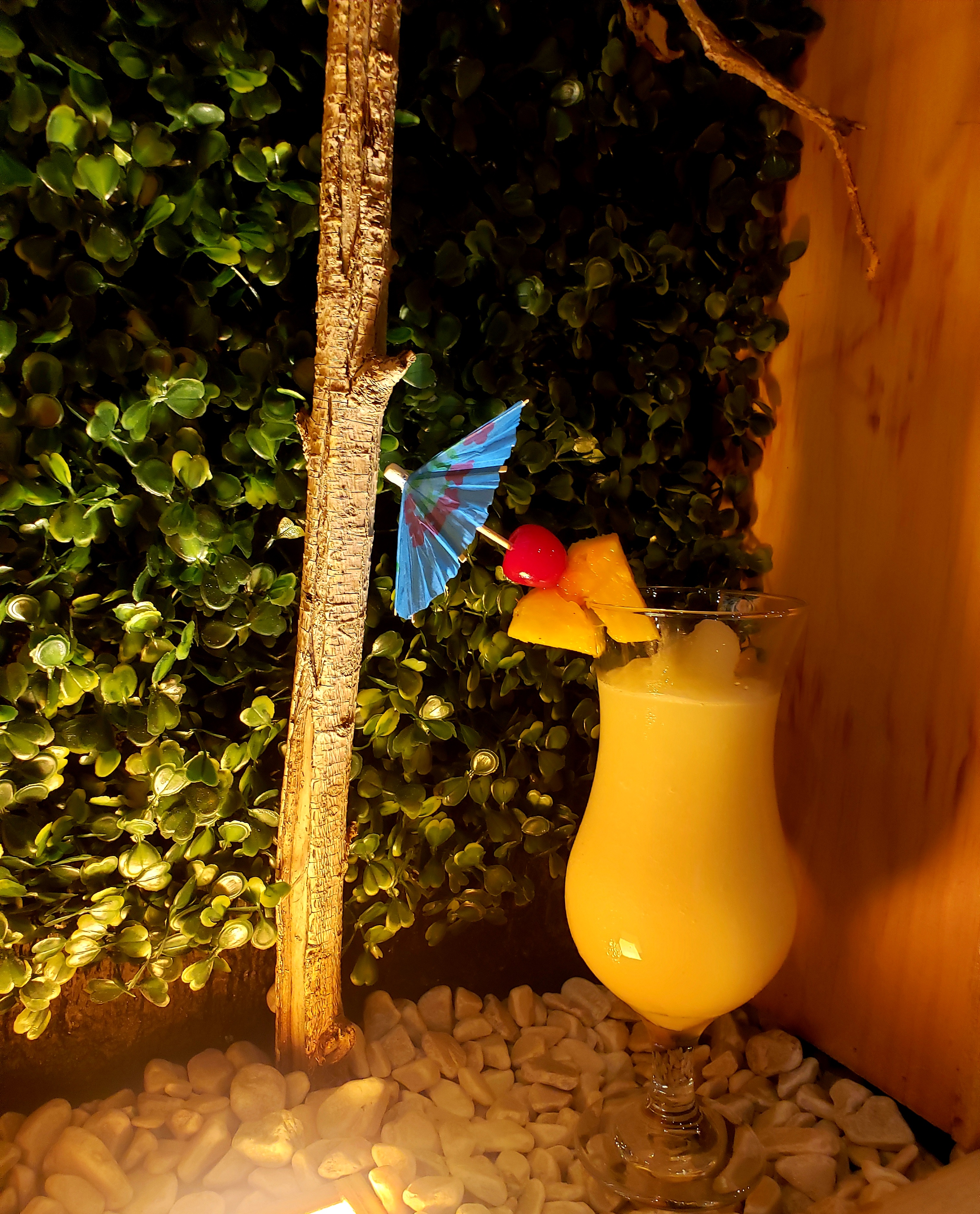 La Bahía del Chaguas image 5