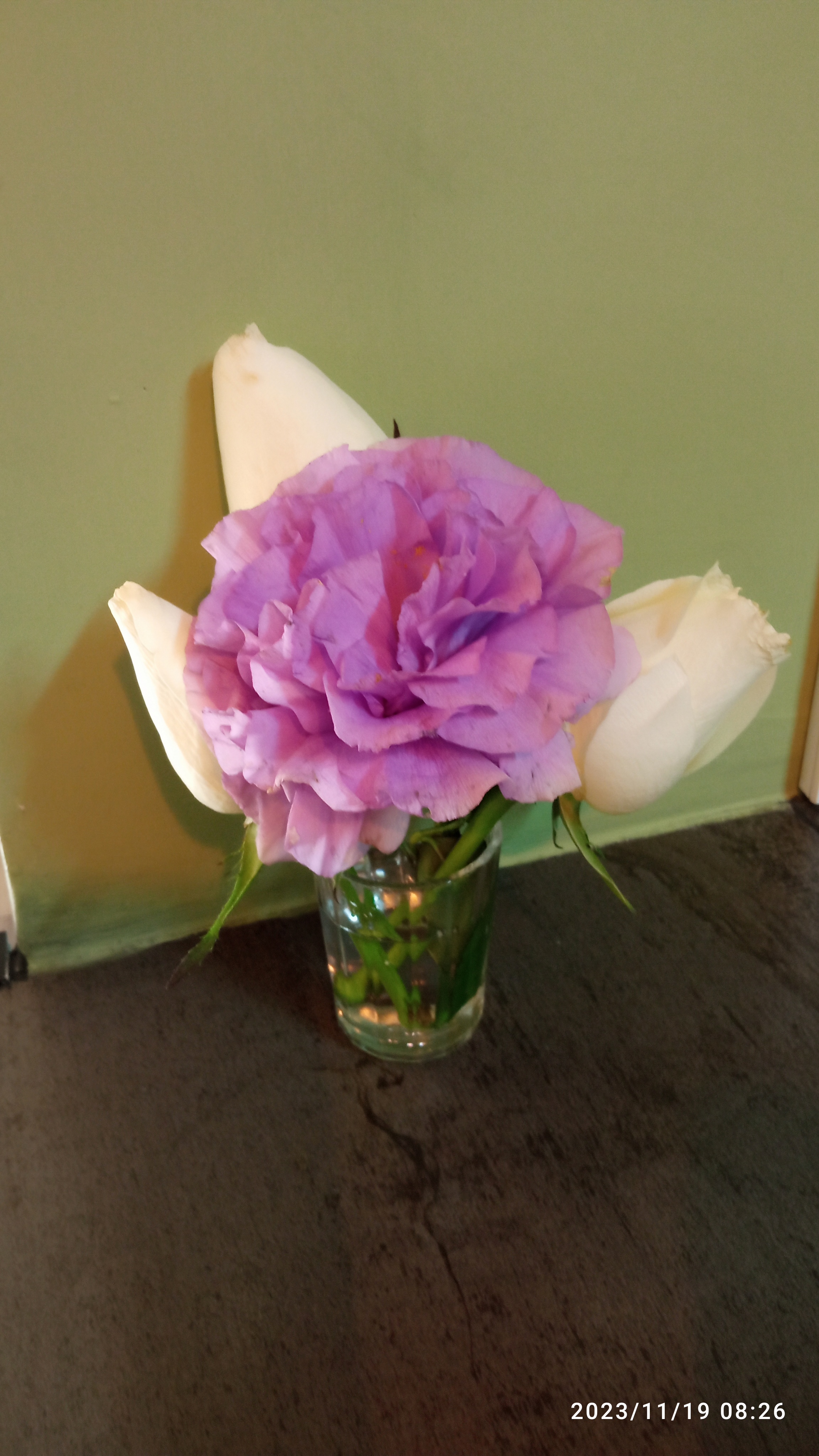 Hungaros restaurant image 3