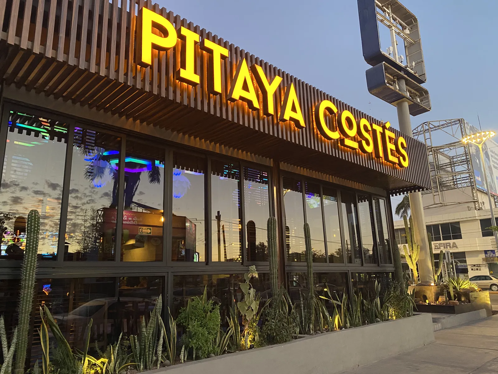 Pitaya´s image 1