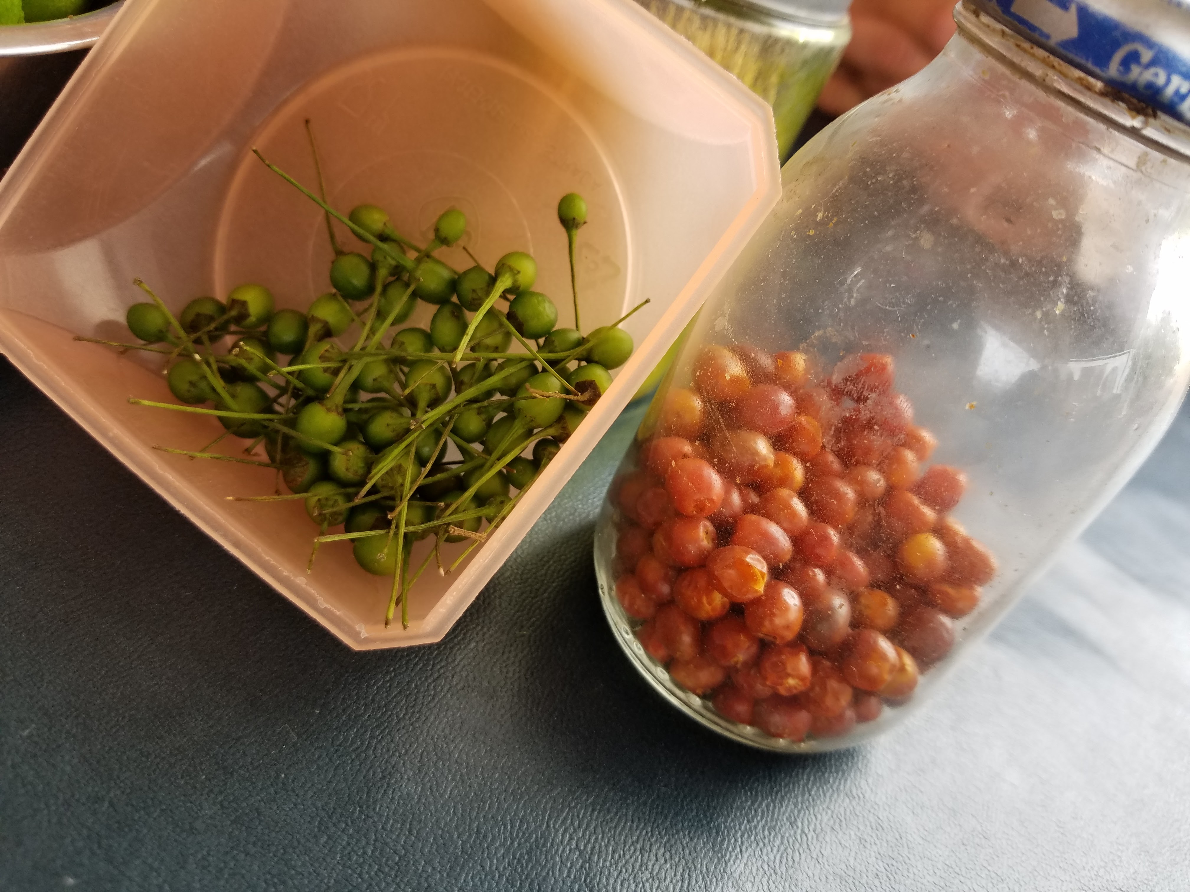 TAQUERIA EL GATO LOCO image 8