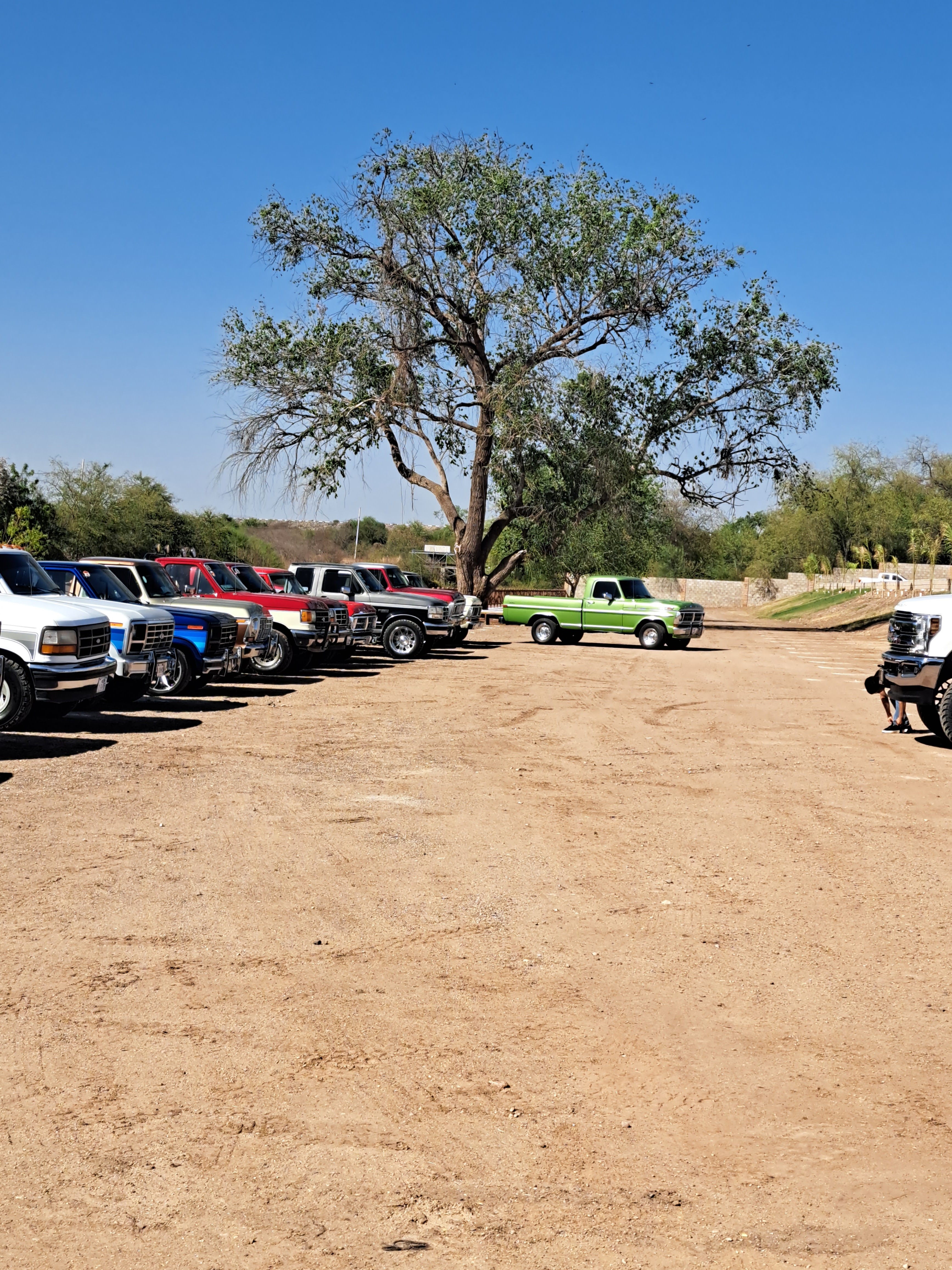 Restaurante Palapa 33 image 5