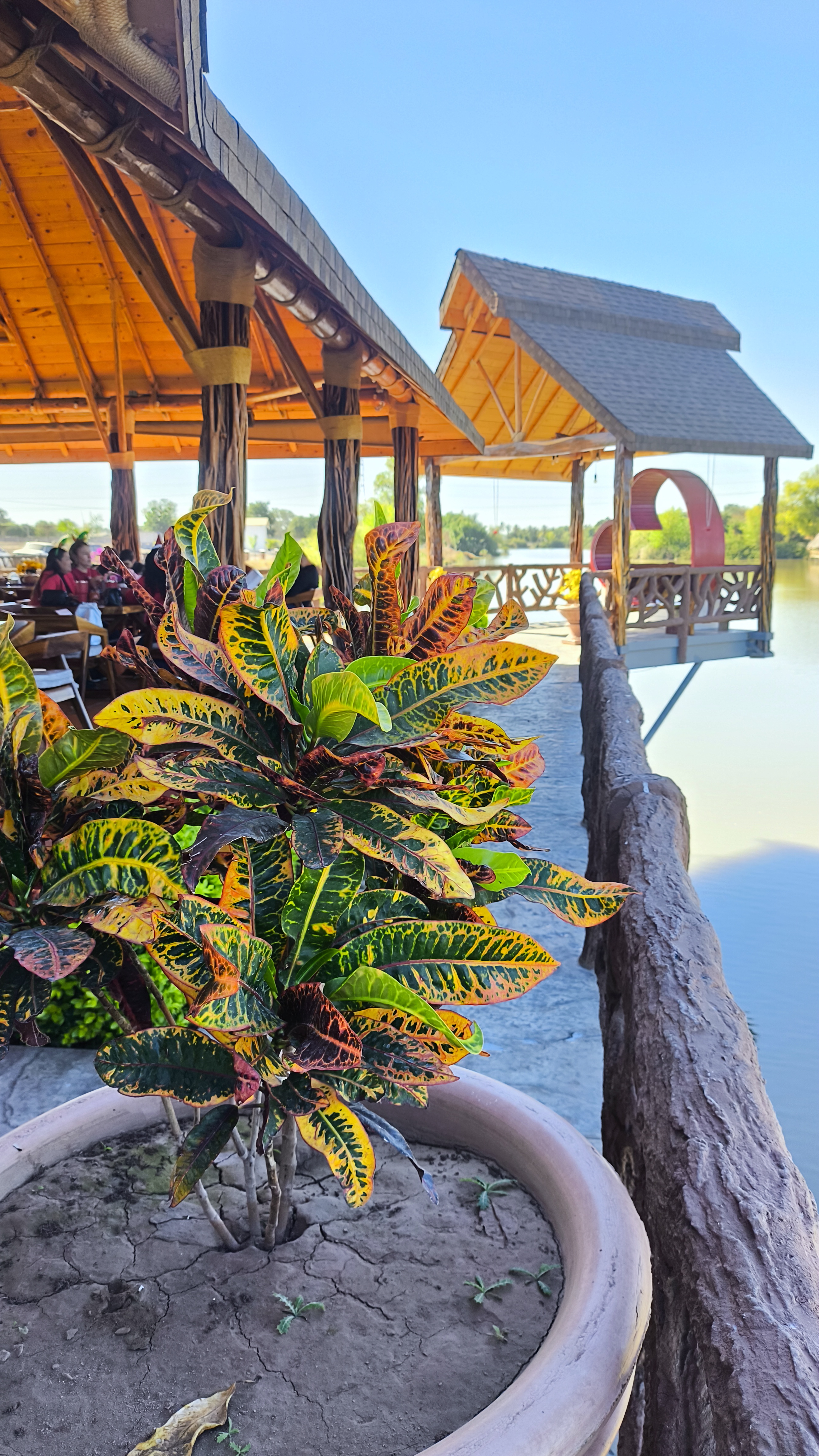 Restaurante Palapa 33 image 8