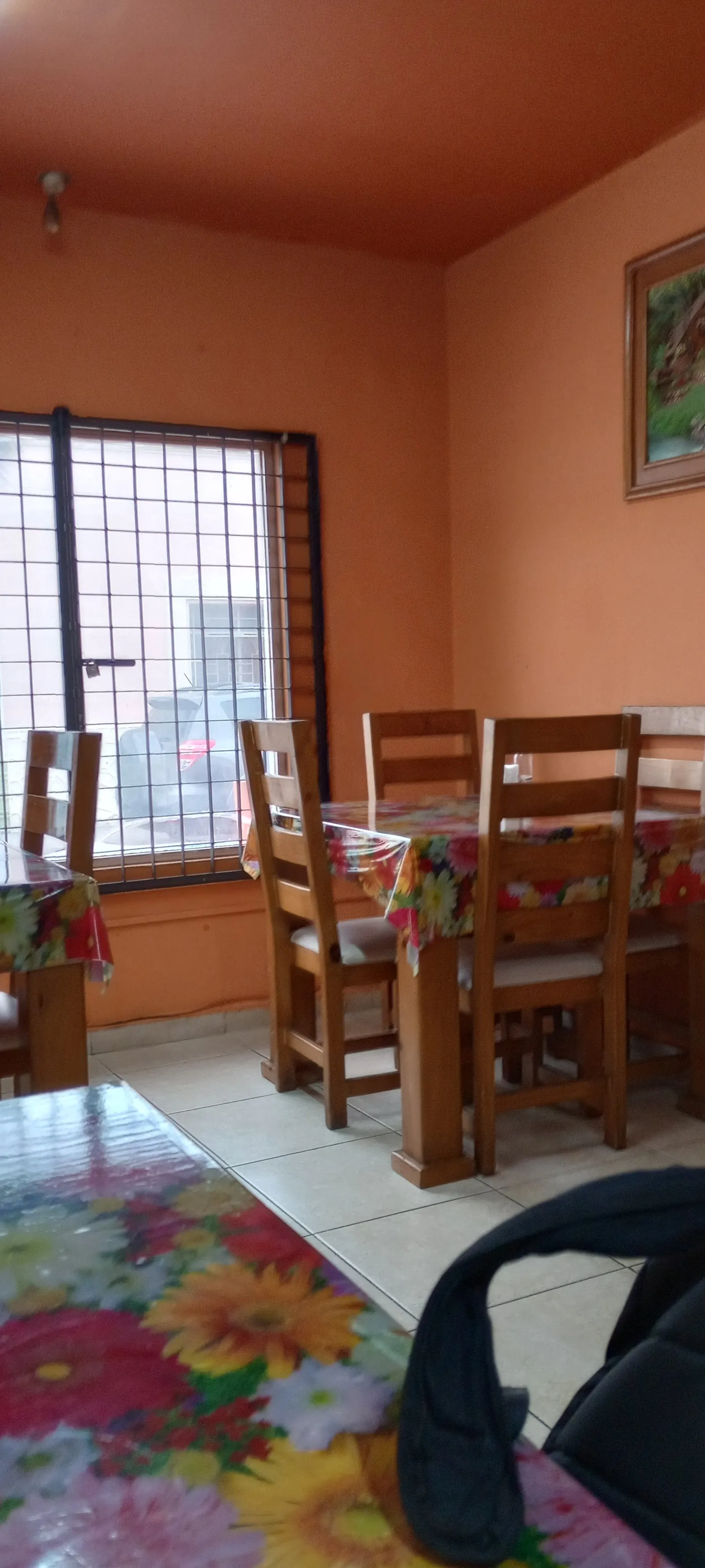 Los Vazquez image 7