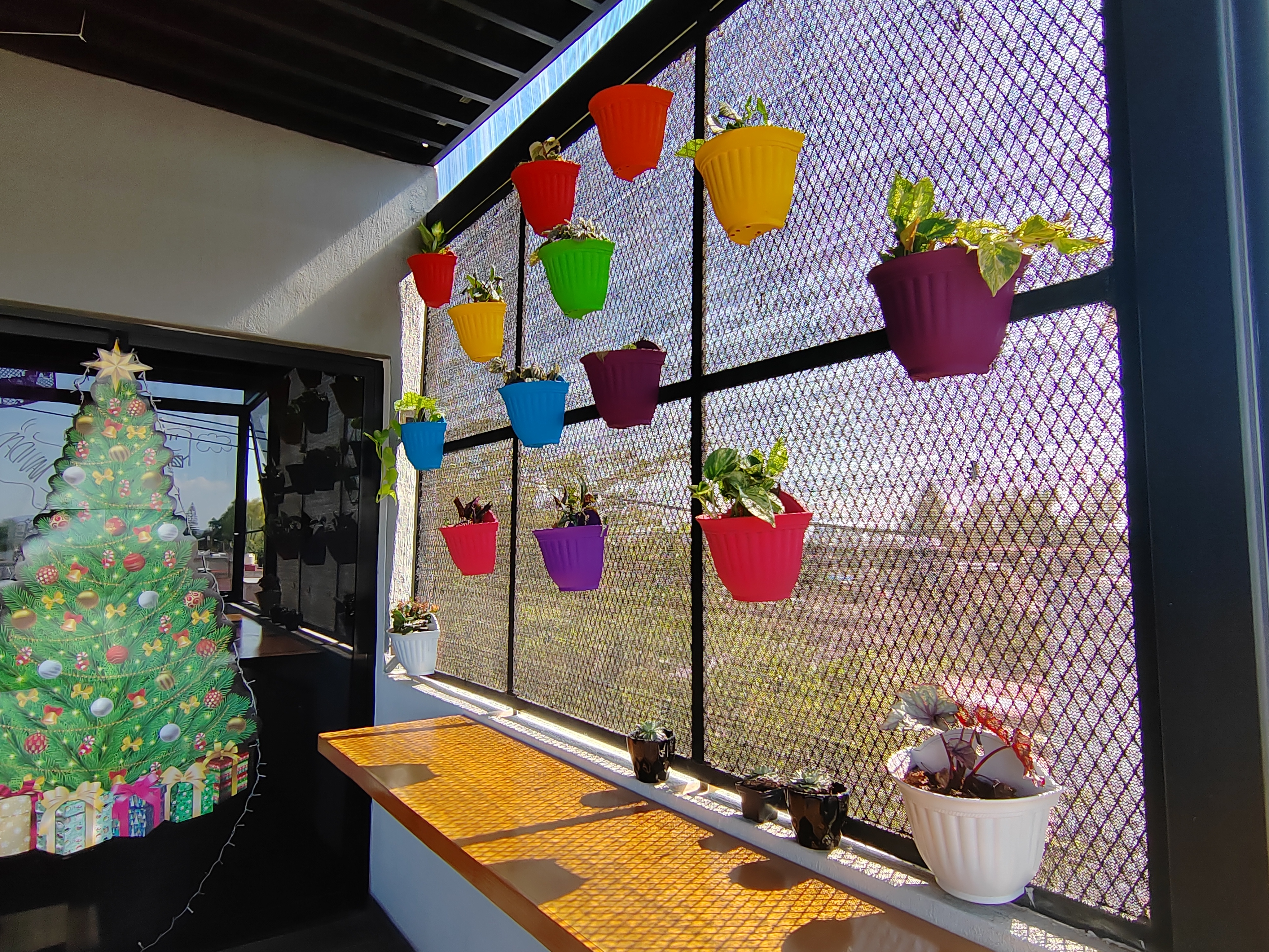 Tacos y Gorditas Navarro image 2