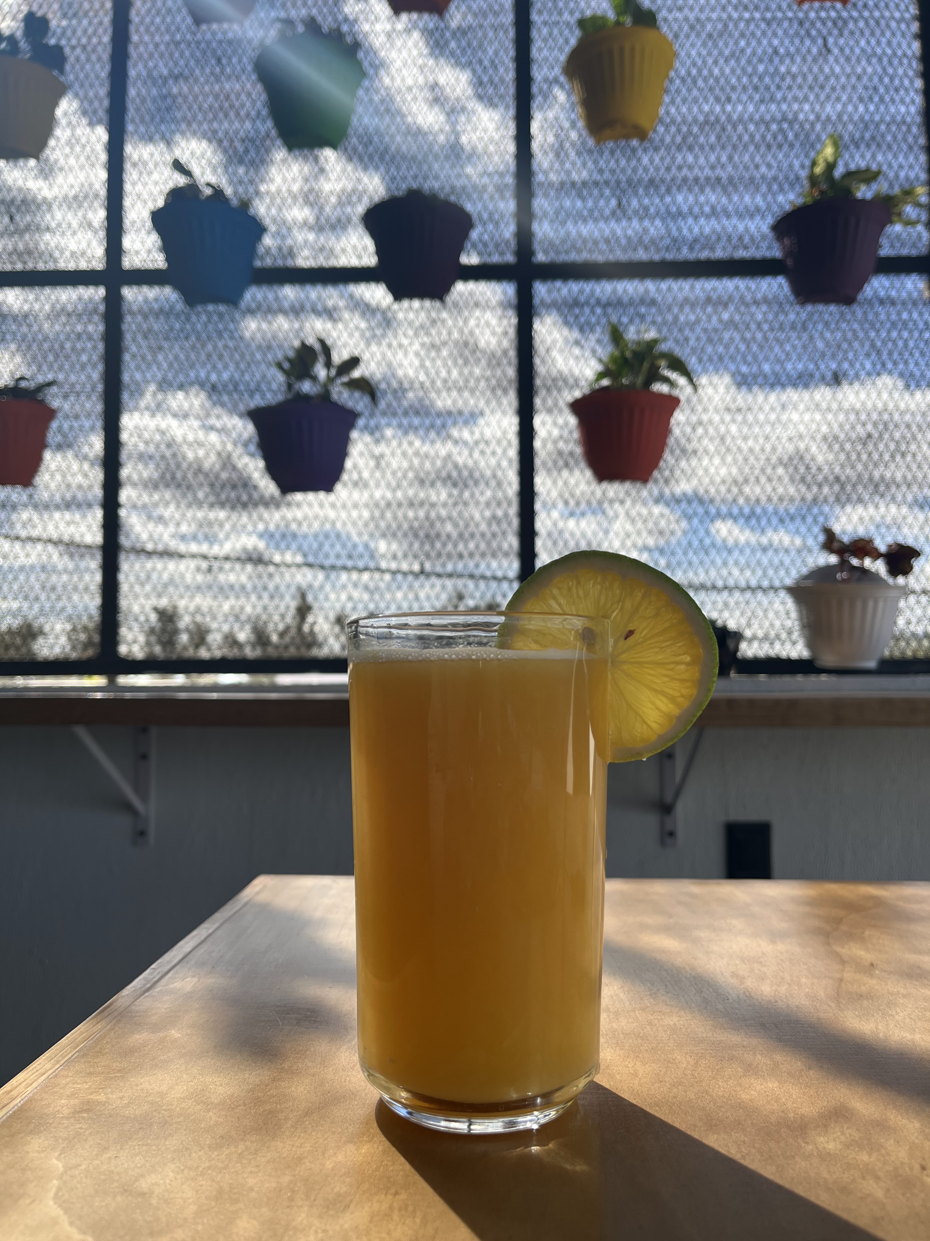 Tacos y Gorditas Navarro image 4