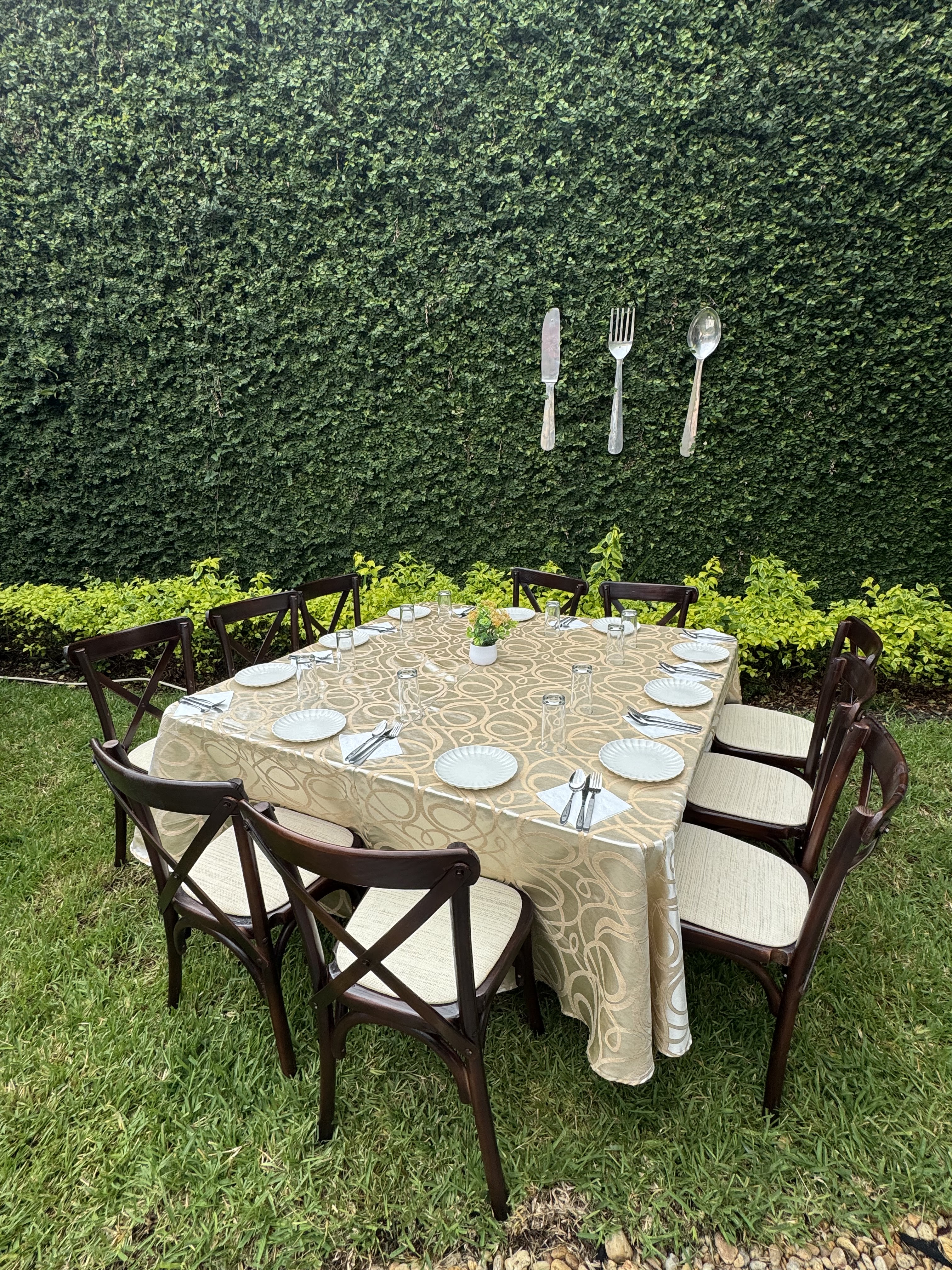 El Toque De Paty image 7