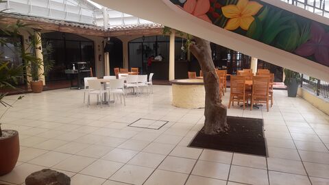 Mil Aromas image 3