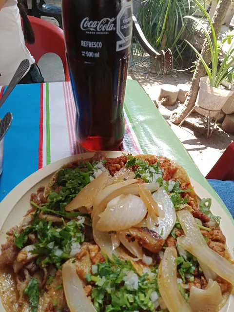 Tacos Alexa image 6
