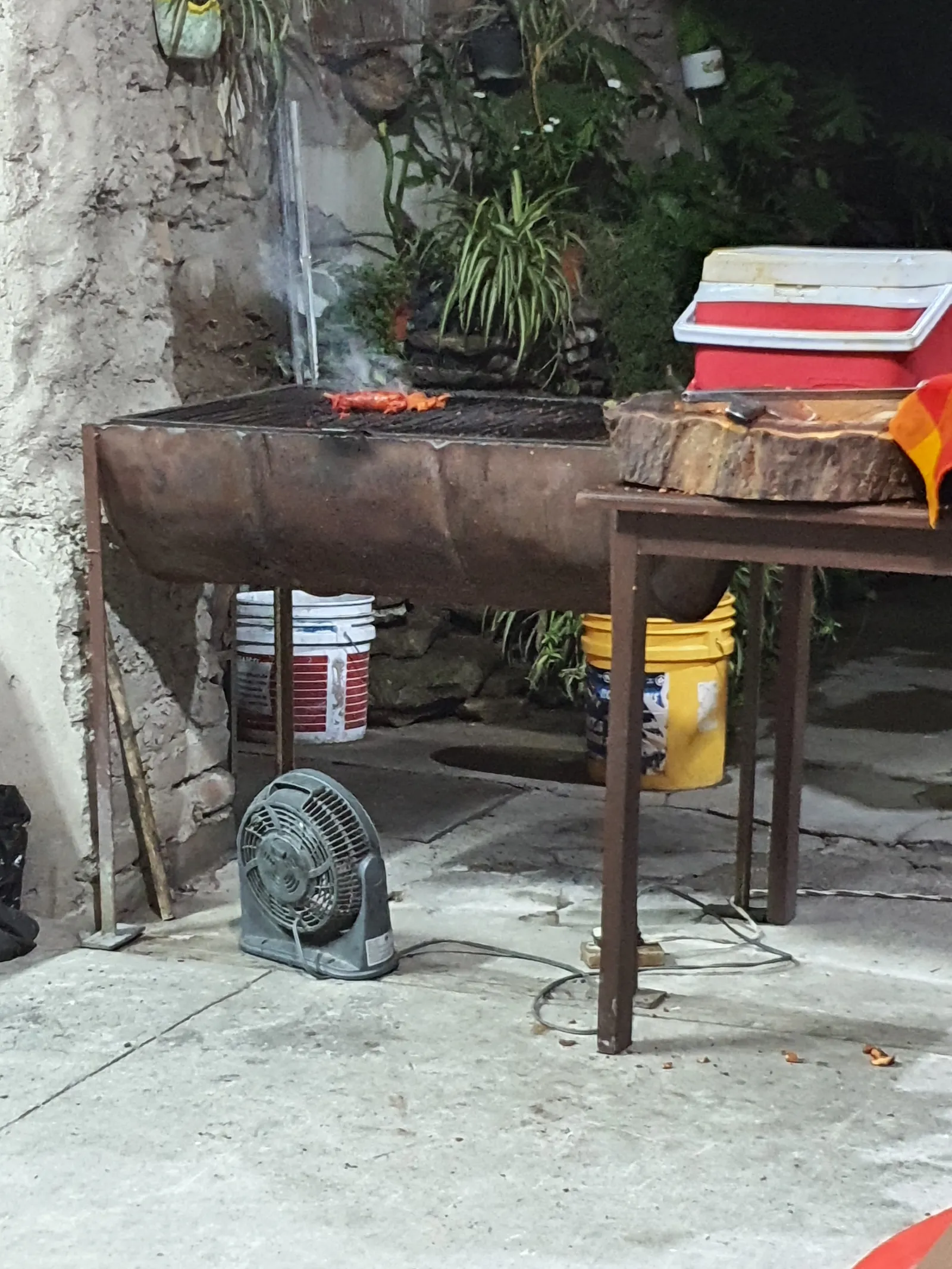 Tacos Alexa image 9