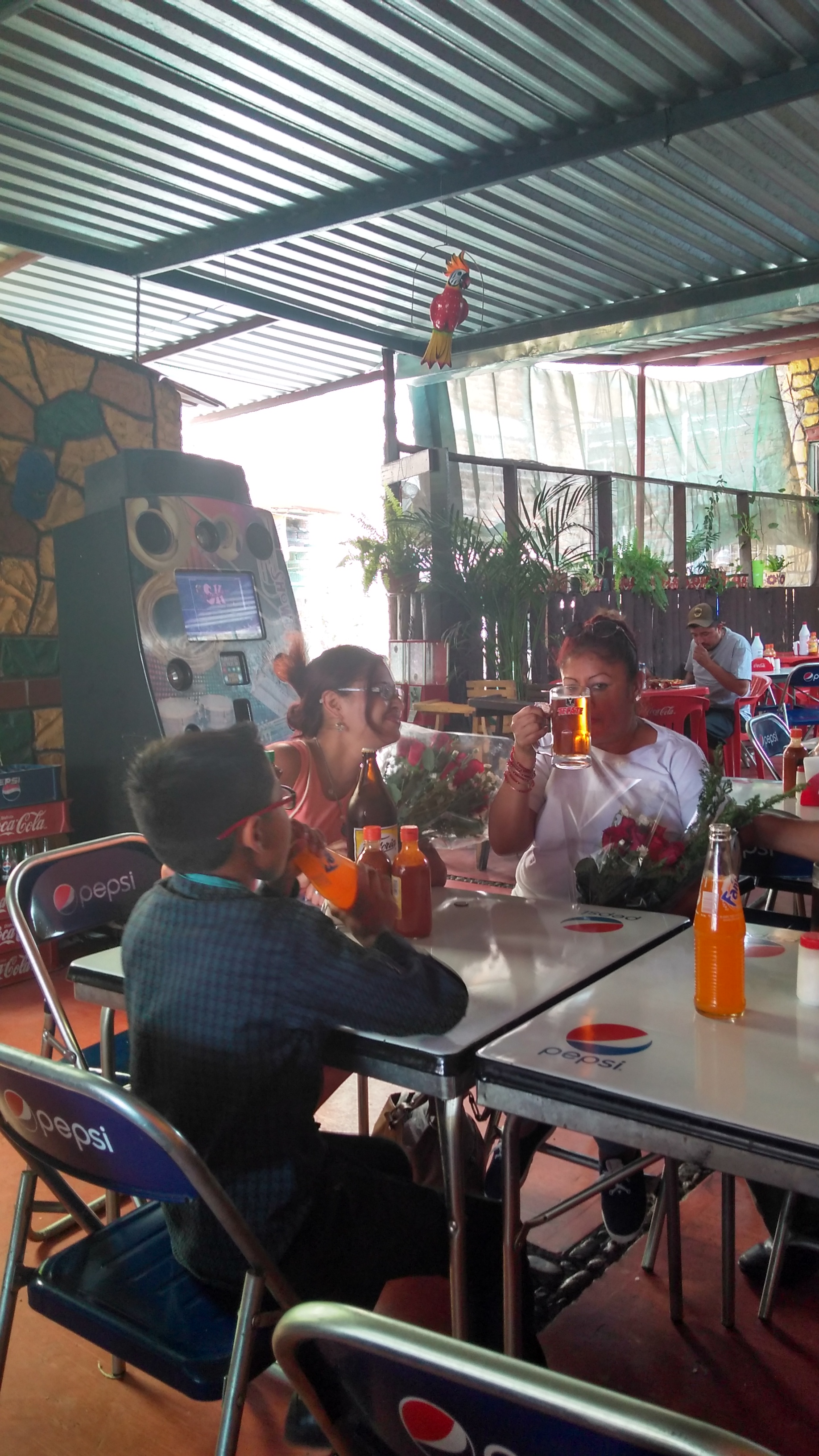 La angosturita image 4