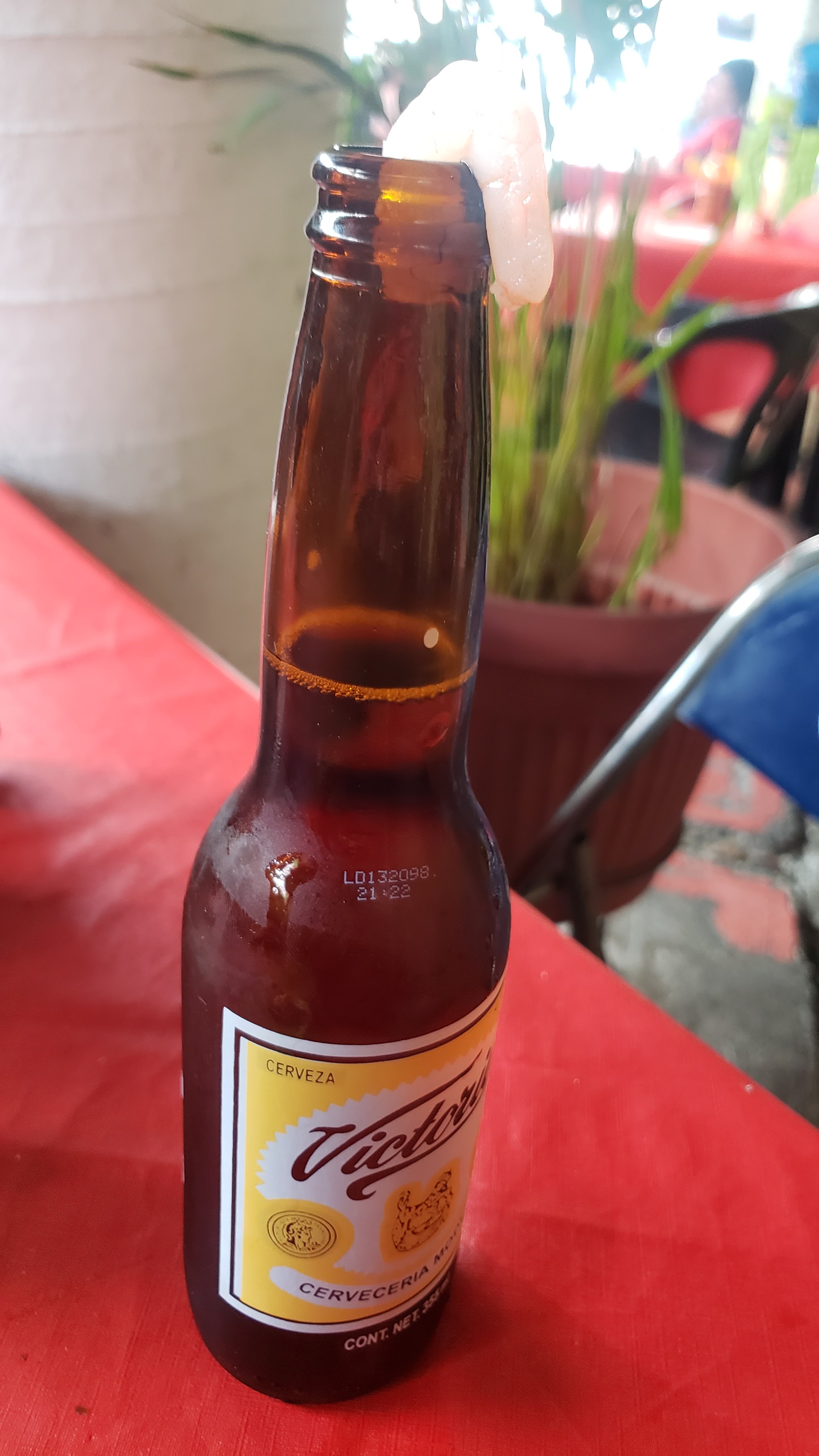 La angosturita image 6