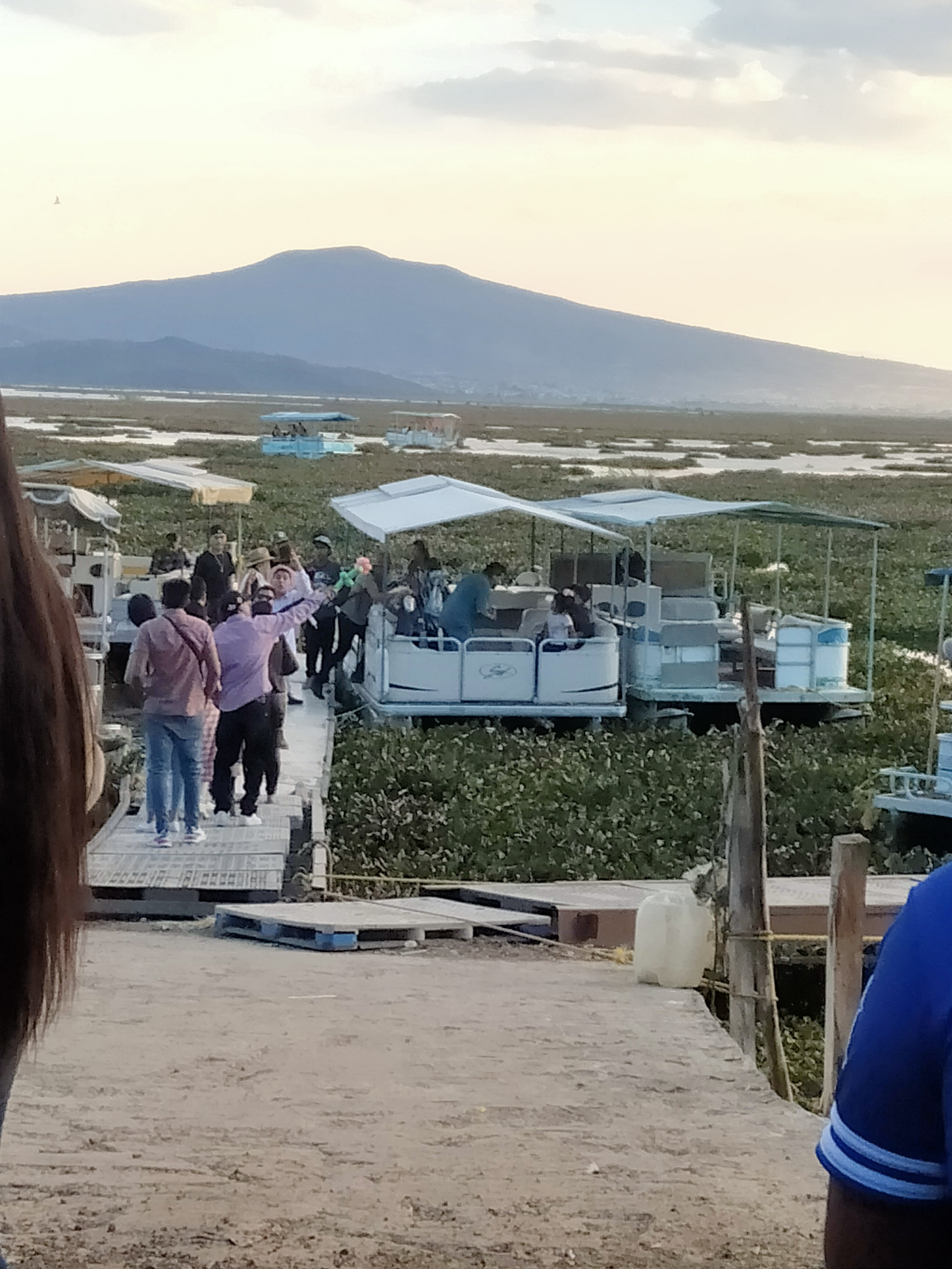 La angosturita image 7