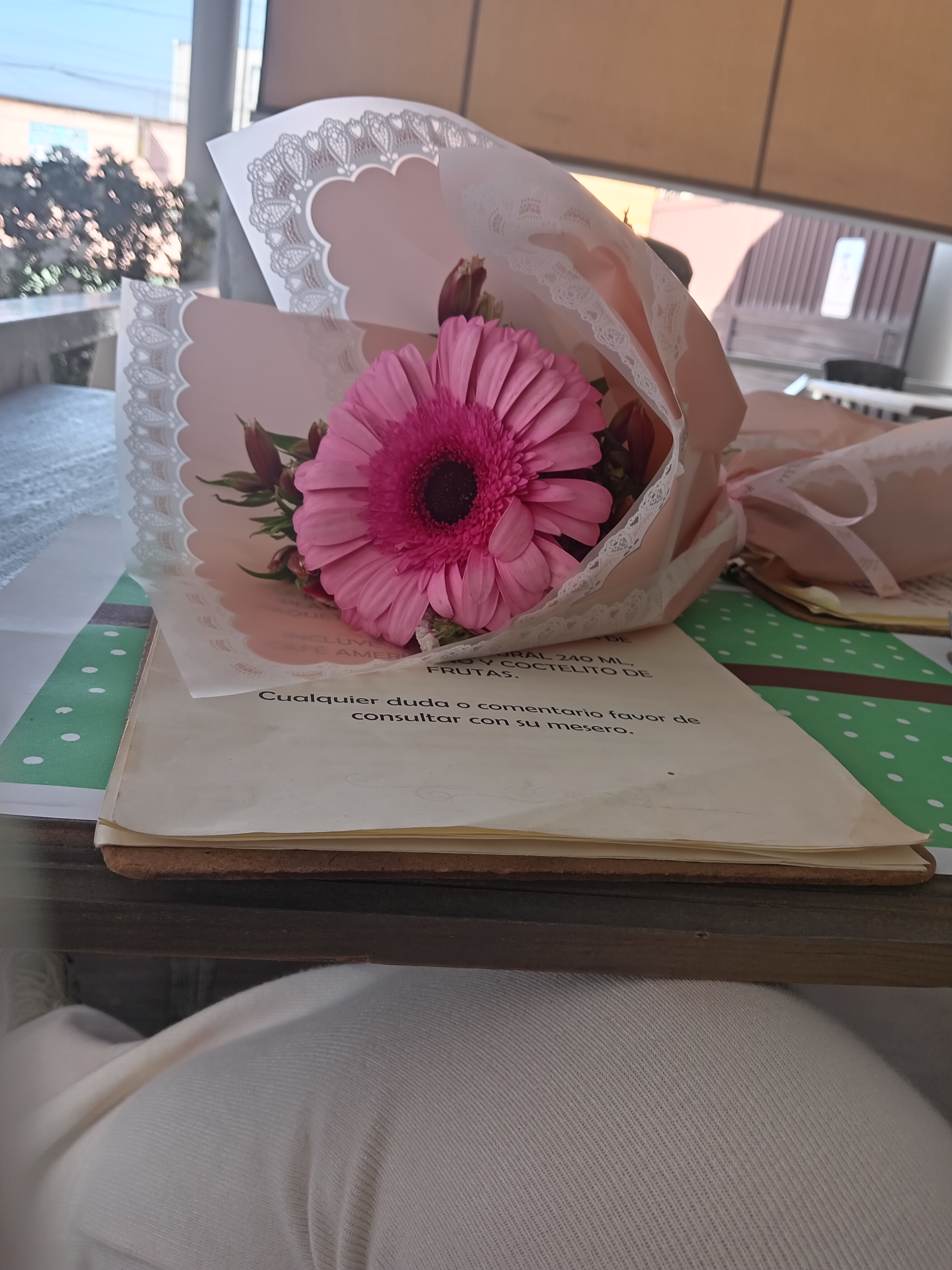 Naia Gourmet image 8