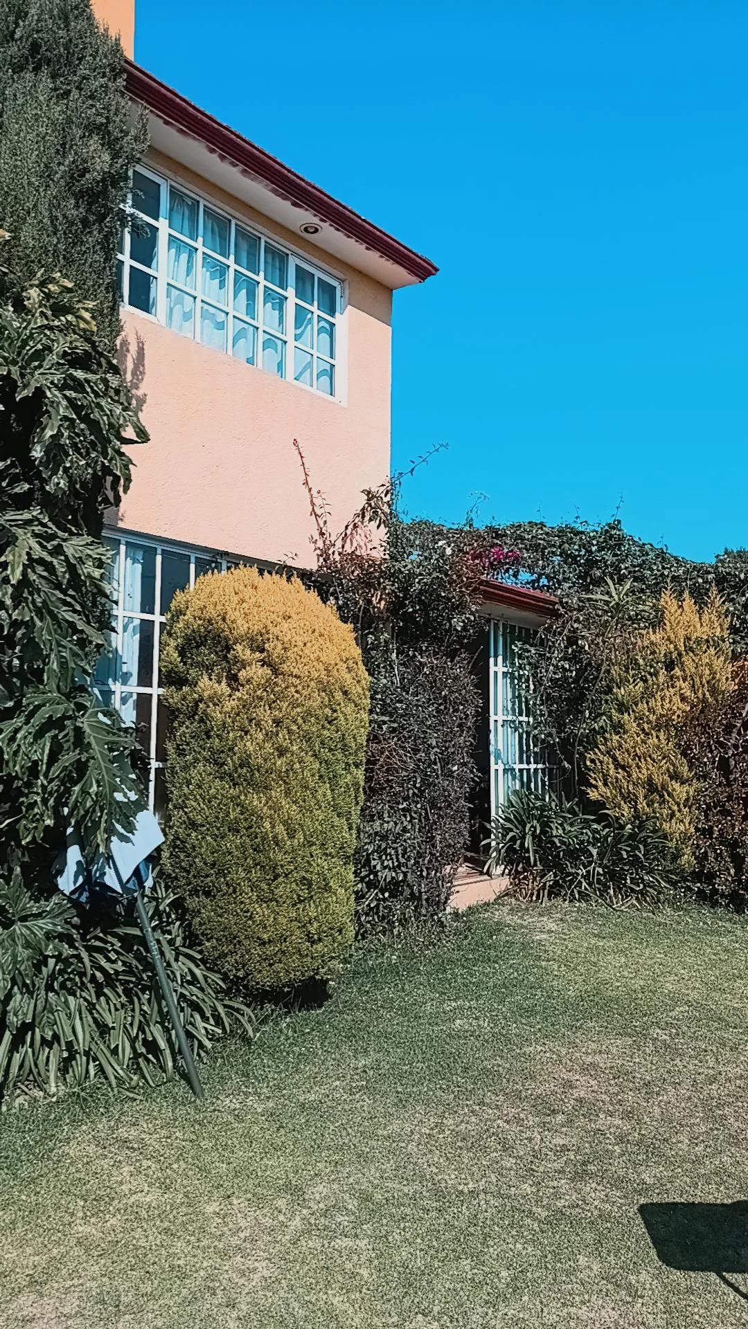 MARGARITA RESTAURANTE METEPEC image 5