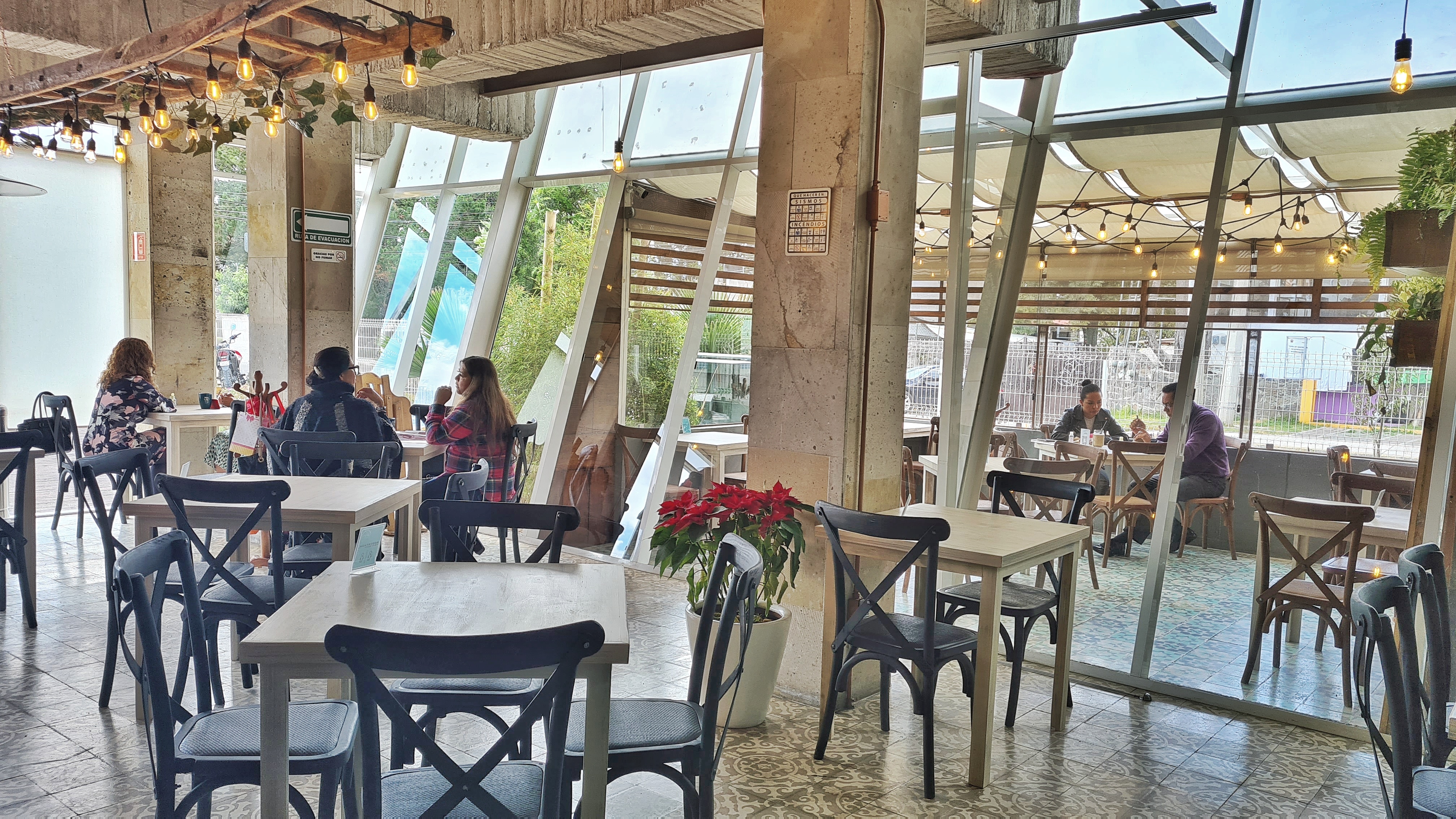 Jengibre-Metepec image 1