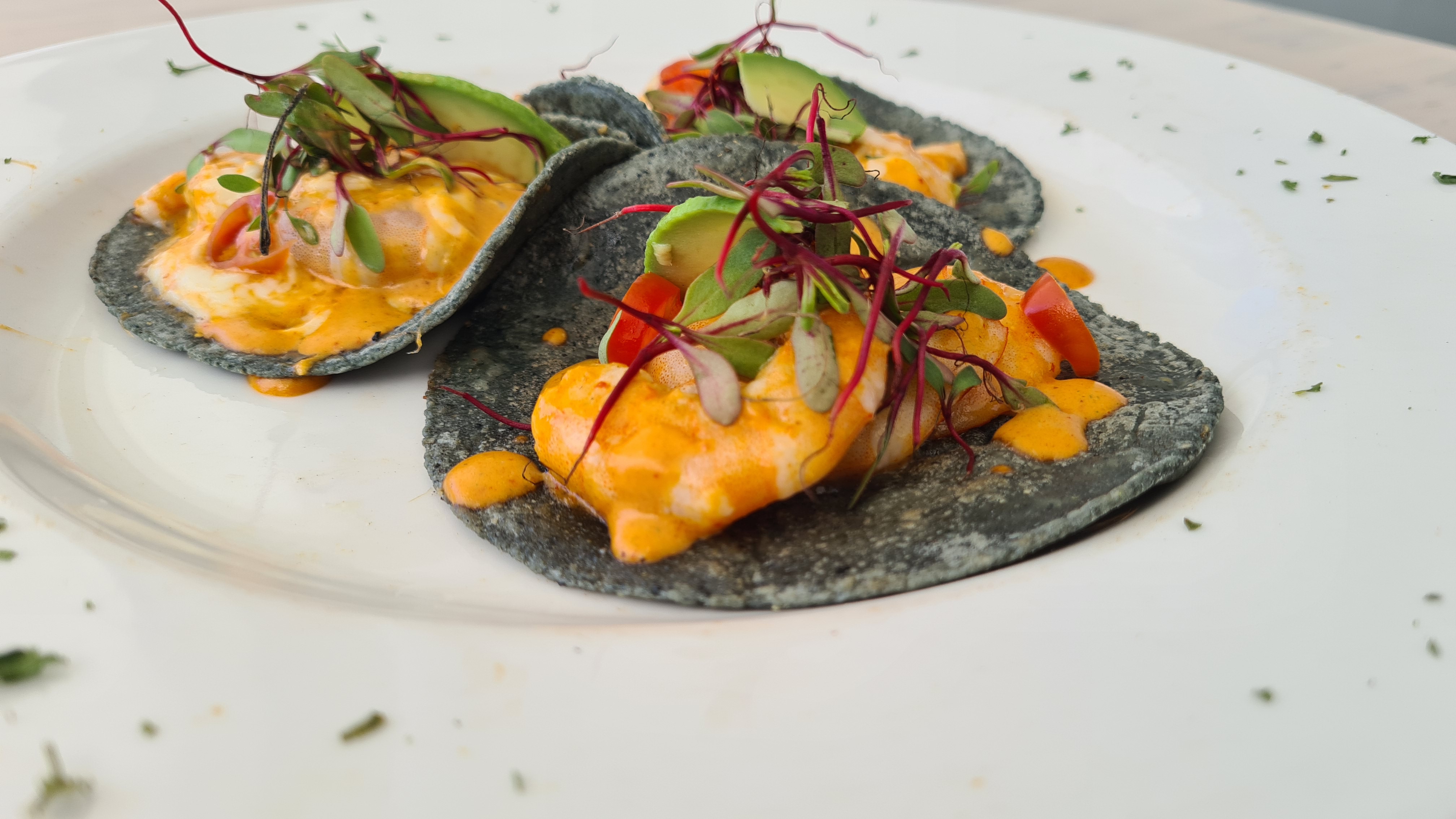 Jengibre-Metepec image 2