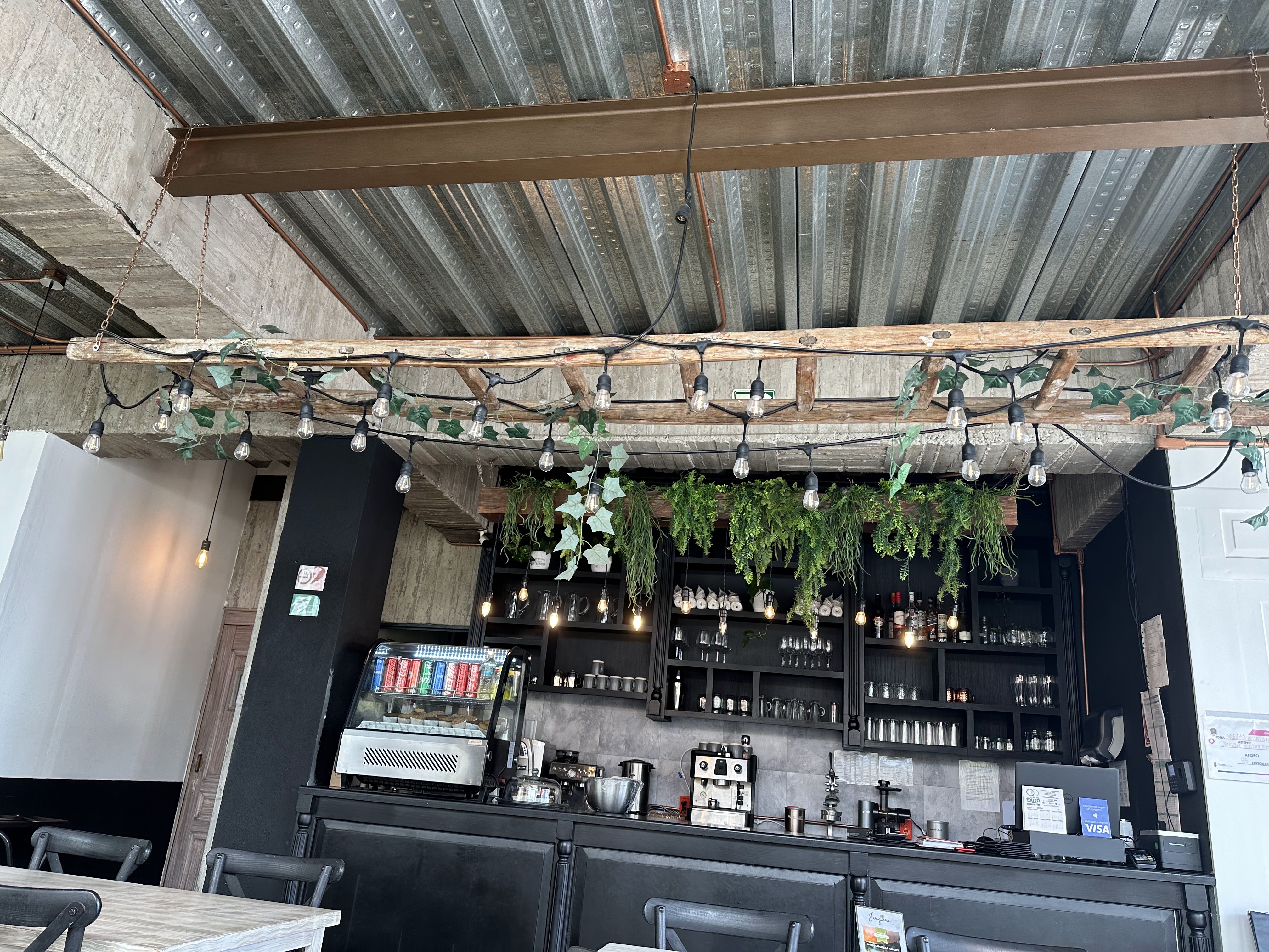 Jengibre-Metepec image 3