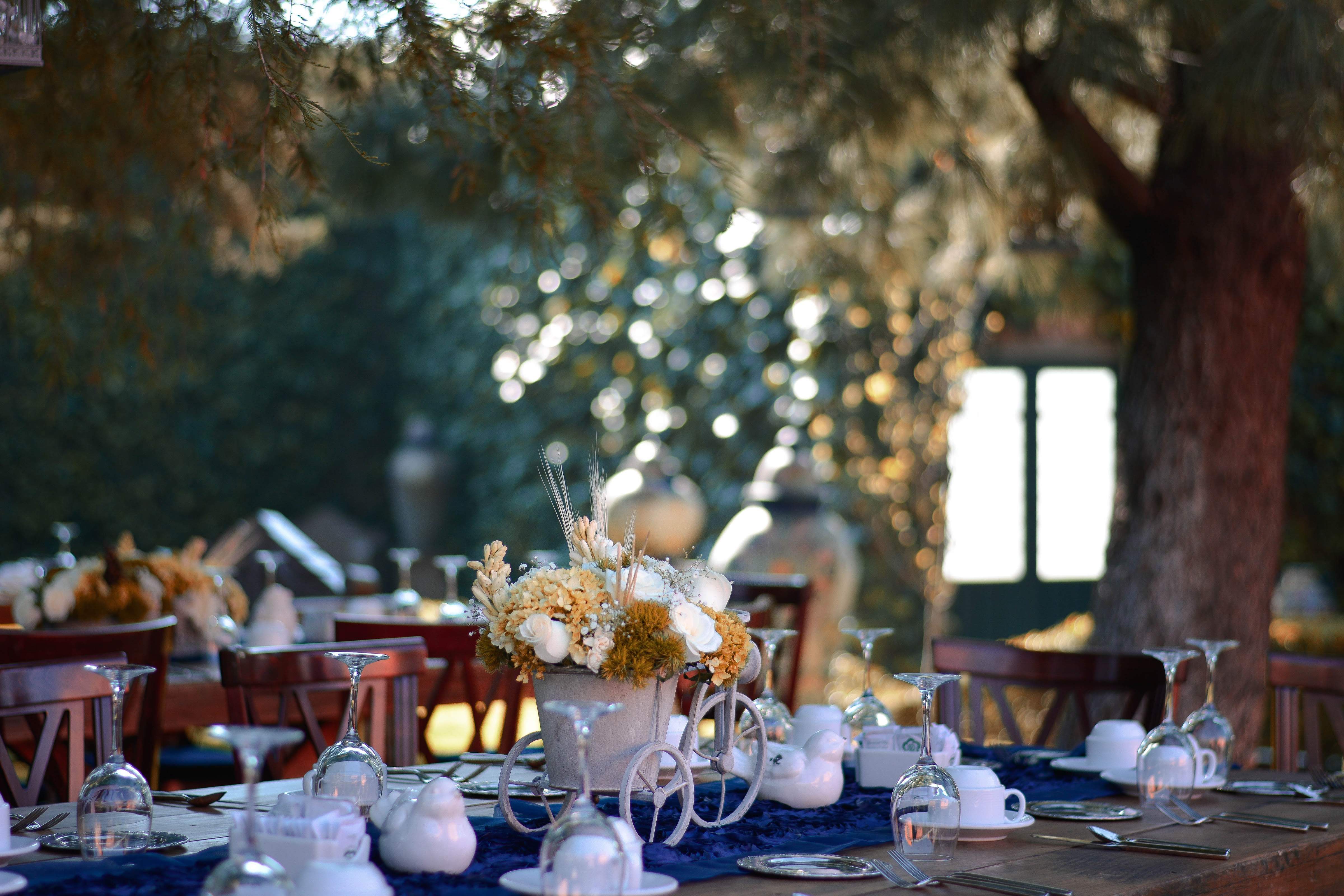 Restaurant-Bar Trapiche image 6