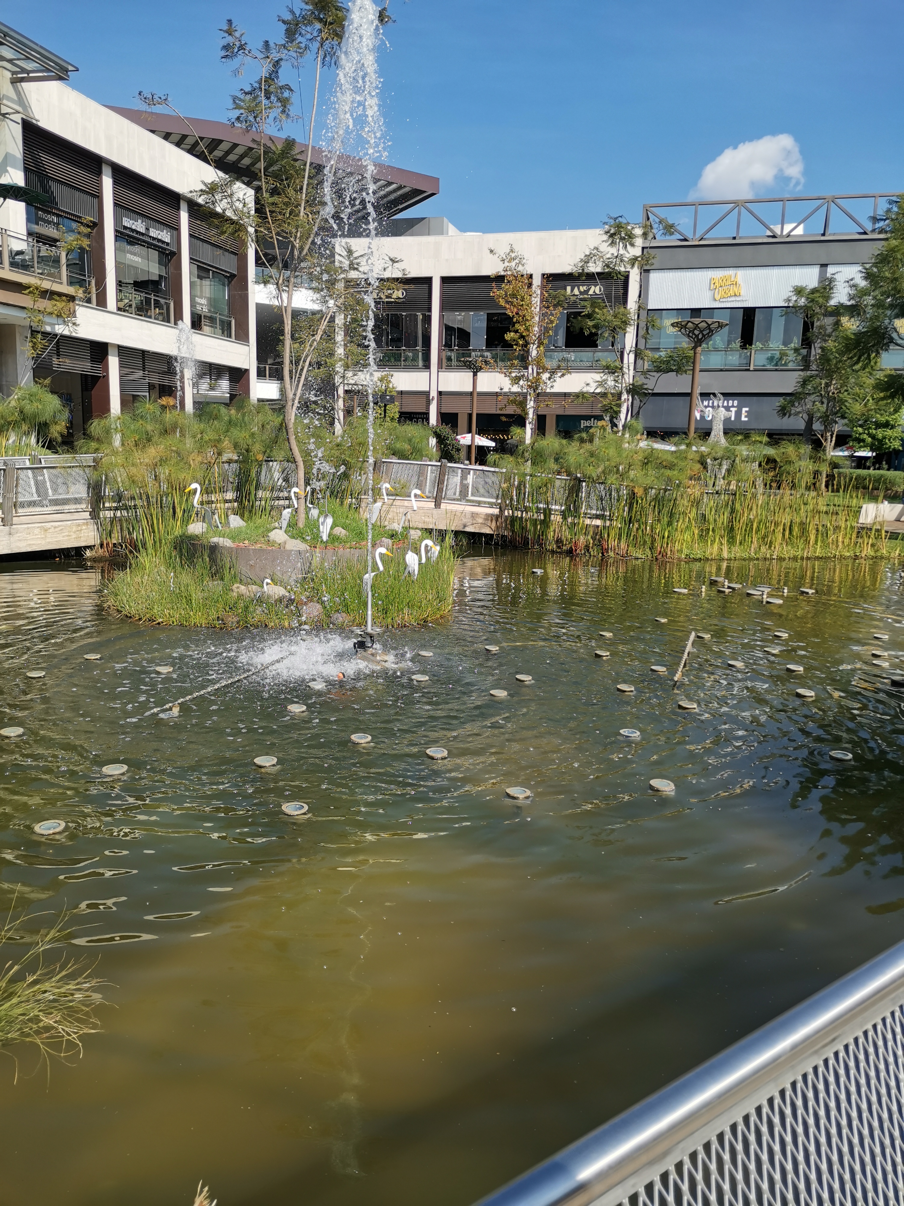 Chili's Town Square Metepec image 4