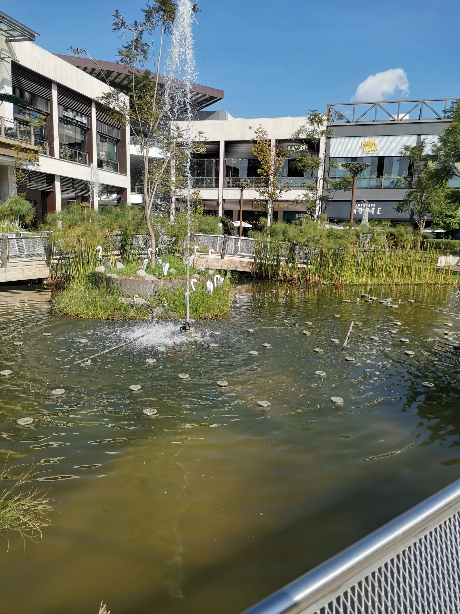 Chili's Town Square Metepec image 4
