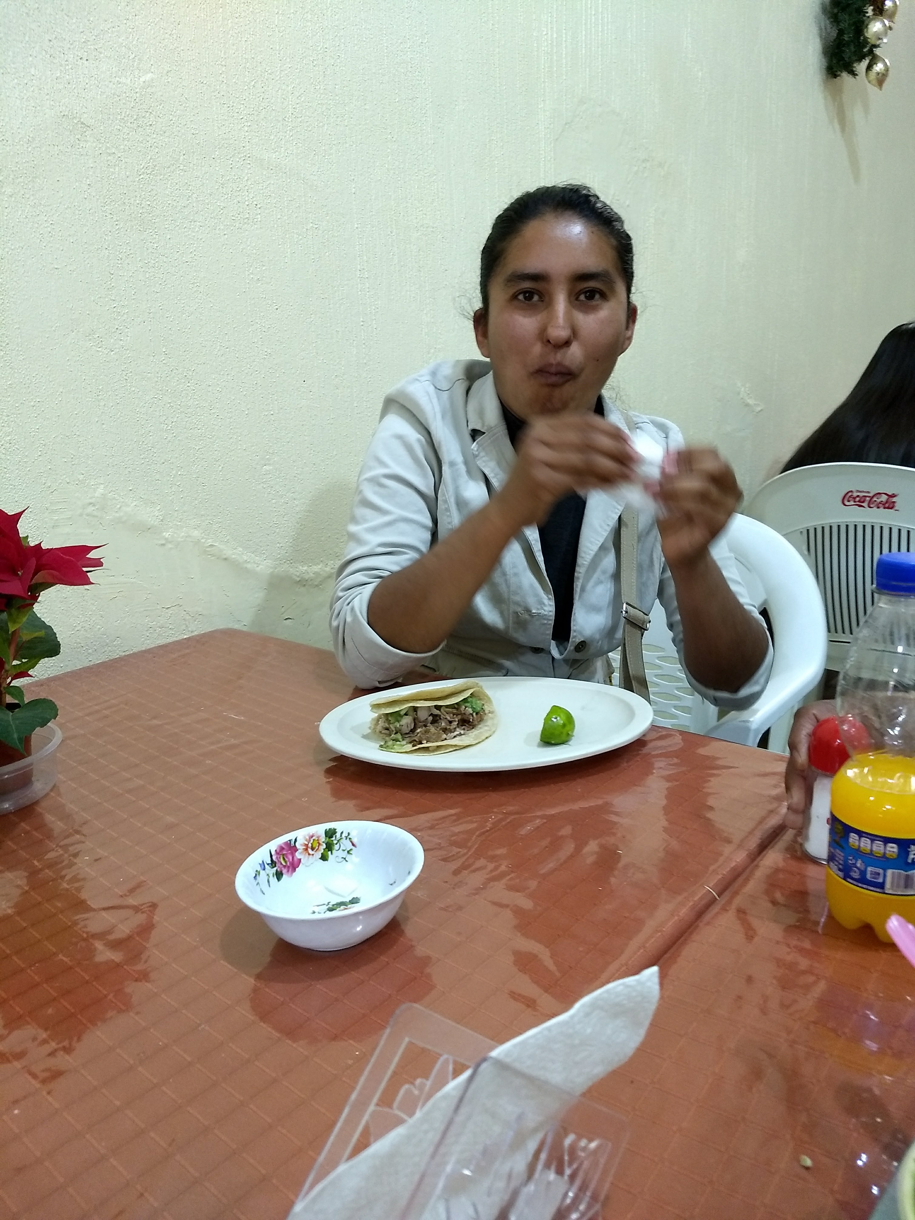 Carnitas Perez Hnos. image 7