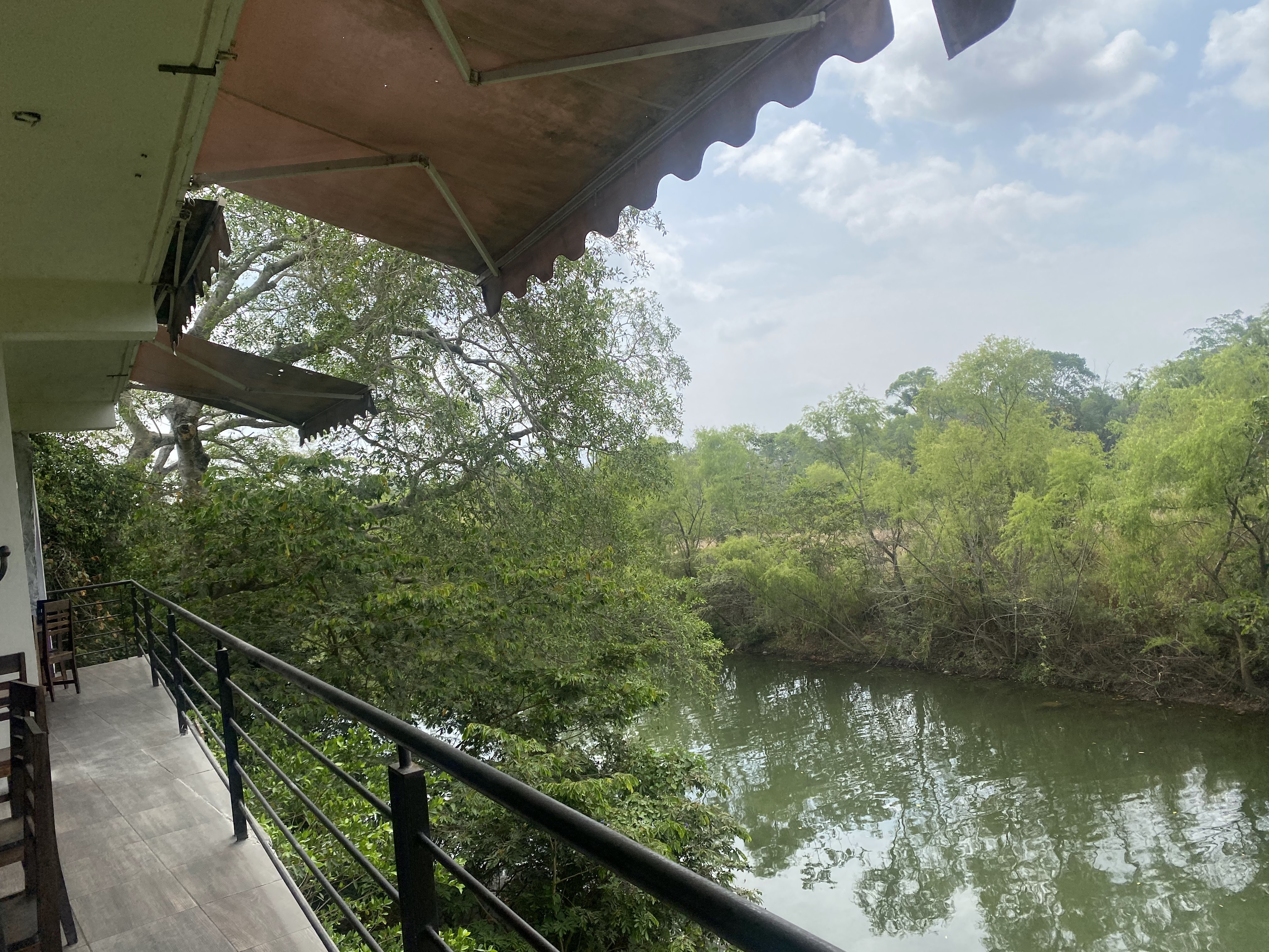 La Langosta Loca image 4