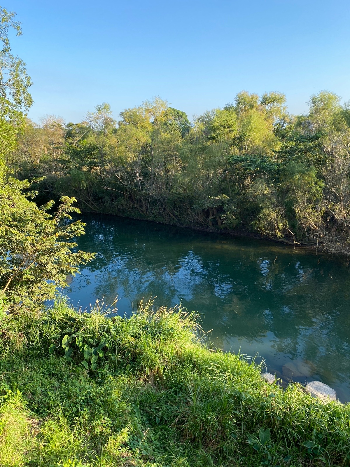 La Langosta Loca image 6