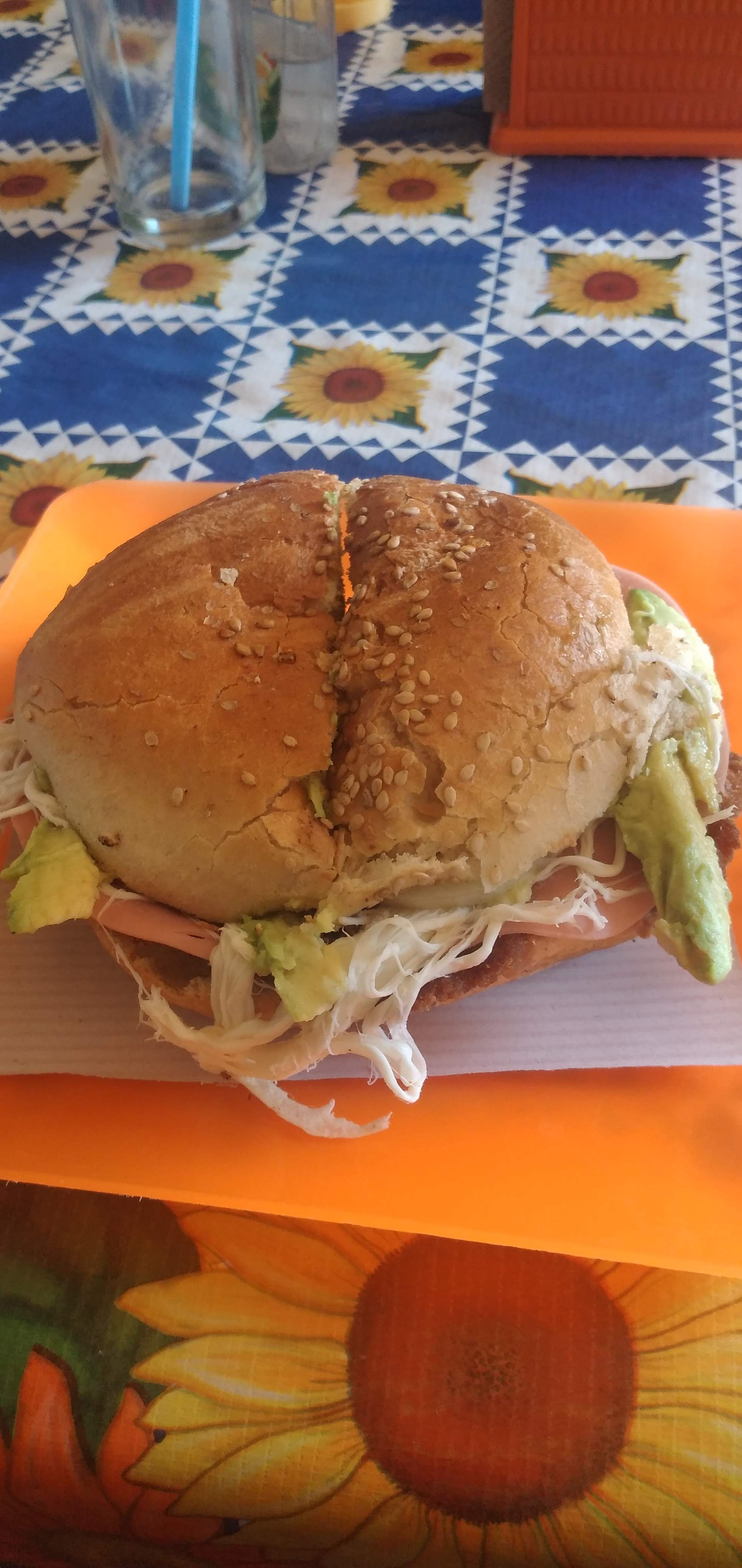 Las Tortugas image 5