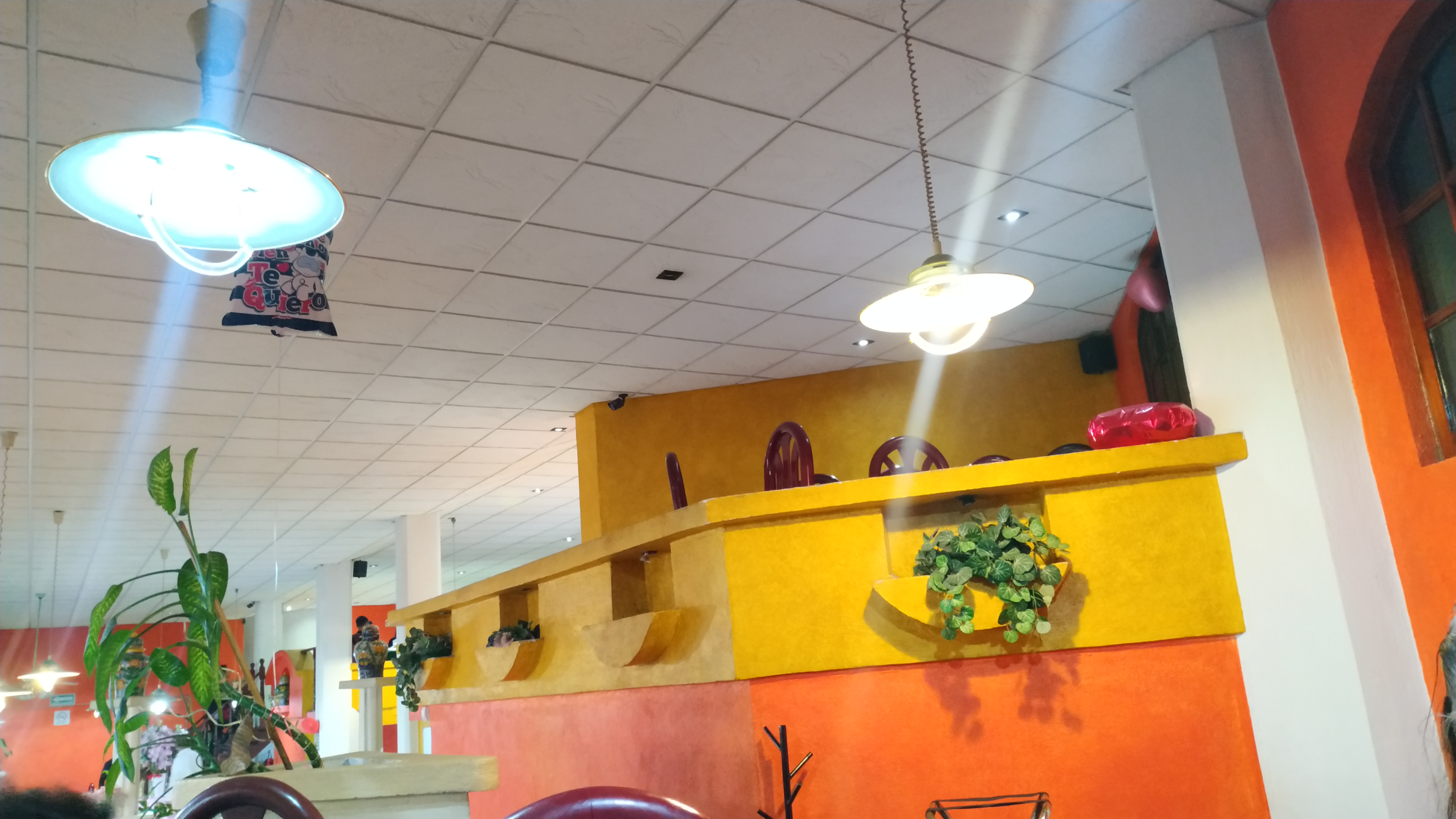 Las Margaritas image 8