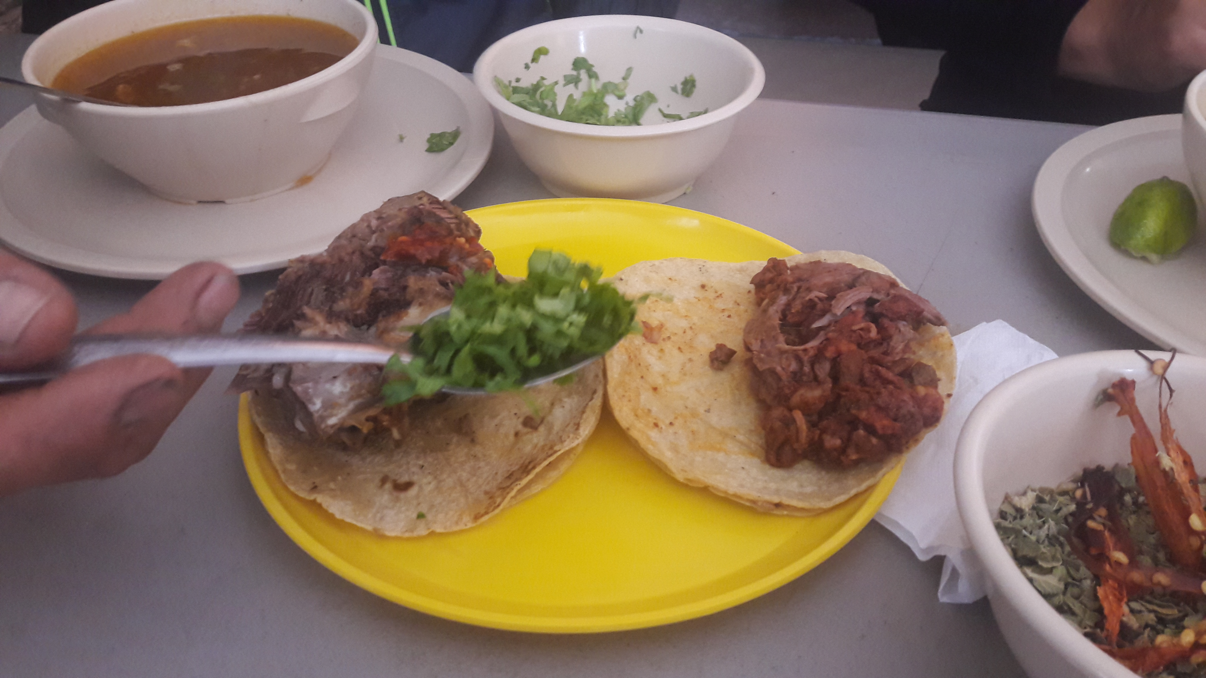 Barbacoa Mane image 9