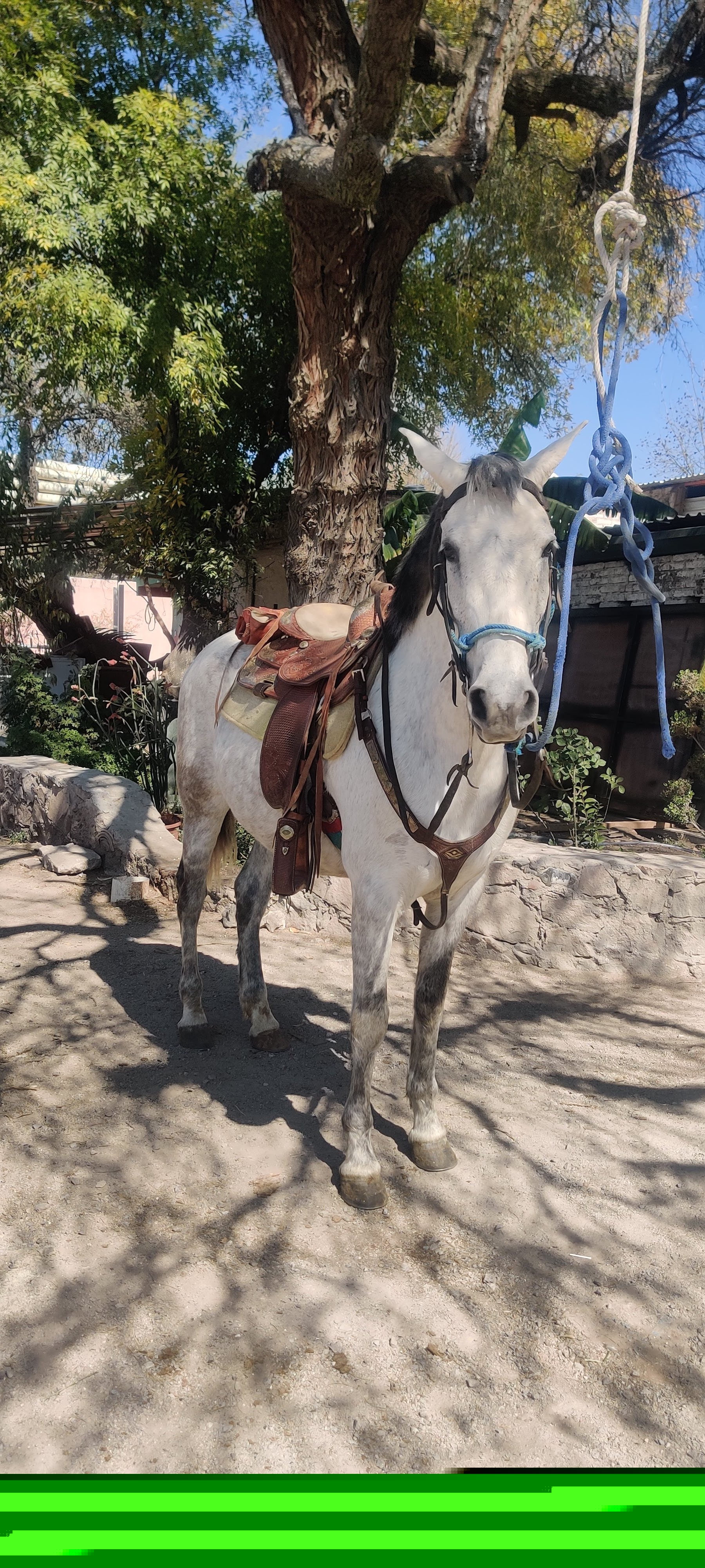 Restaurante La Parra image 4