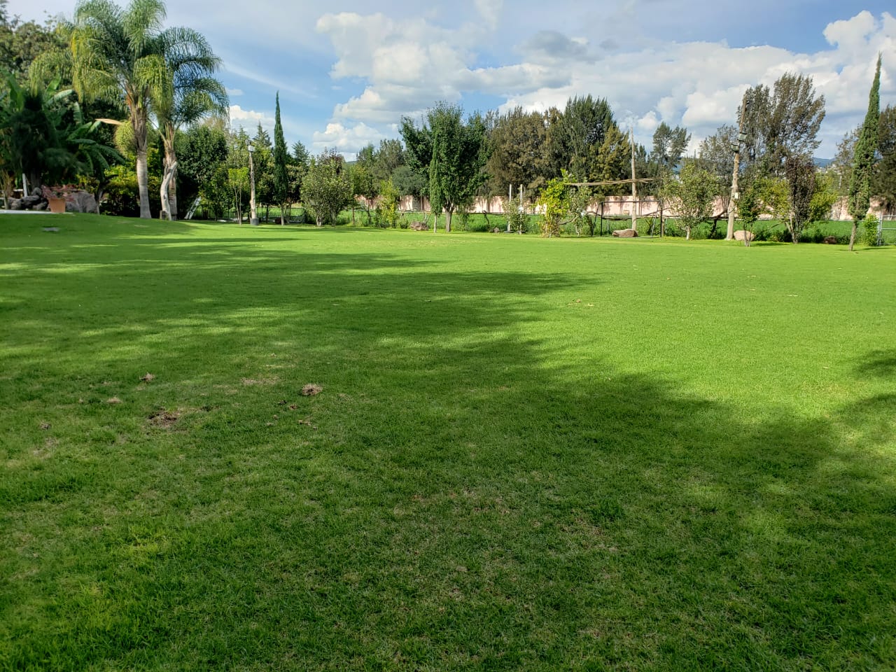 Restaurante La Parra image 7