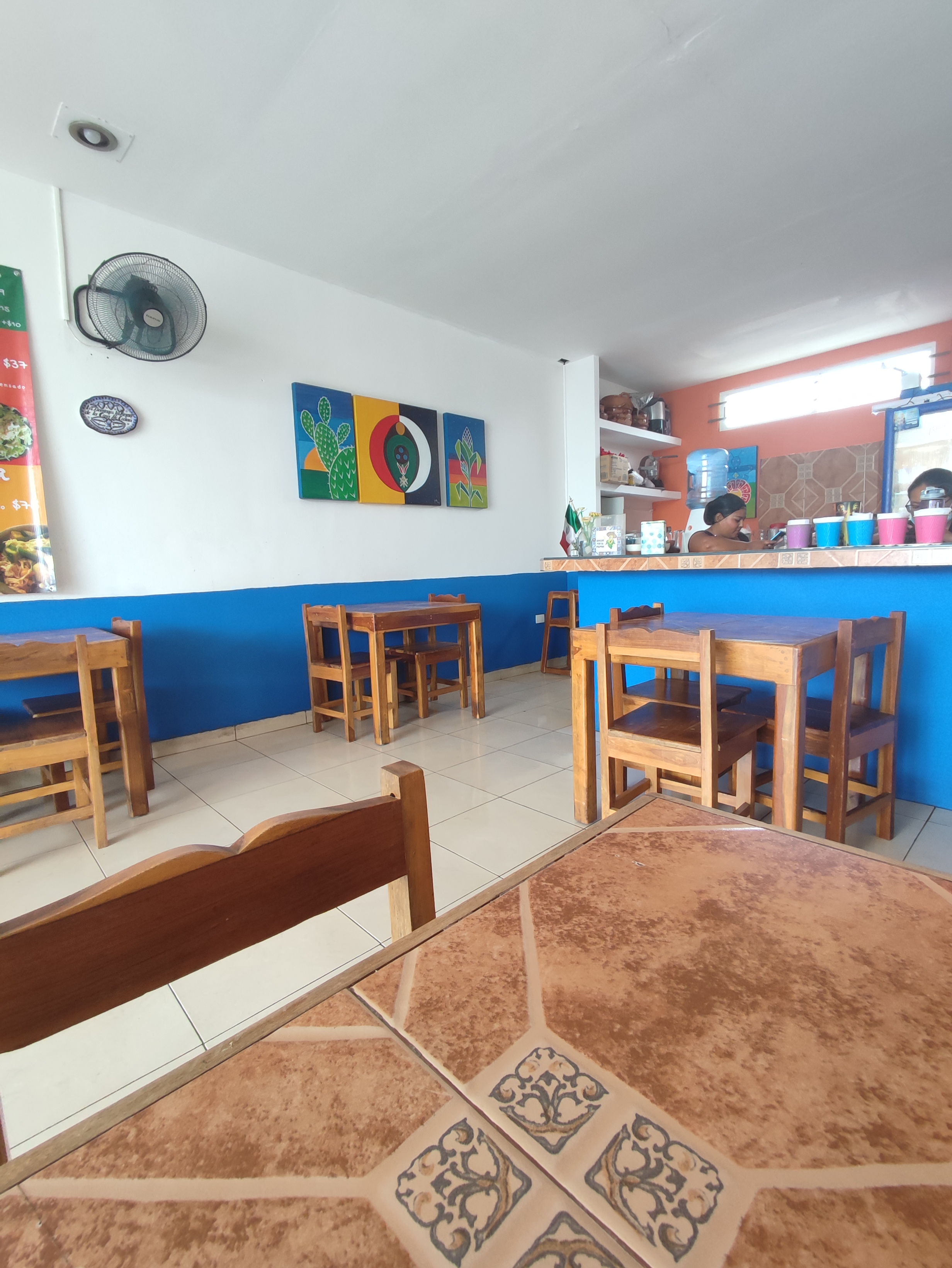 Nopalísimo Fco. de Montejo image 6