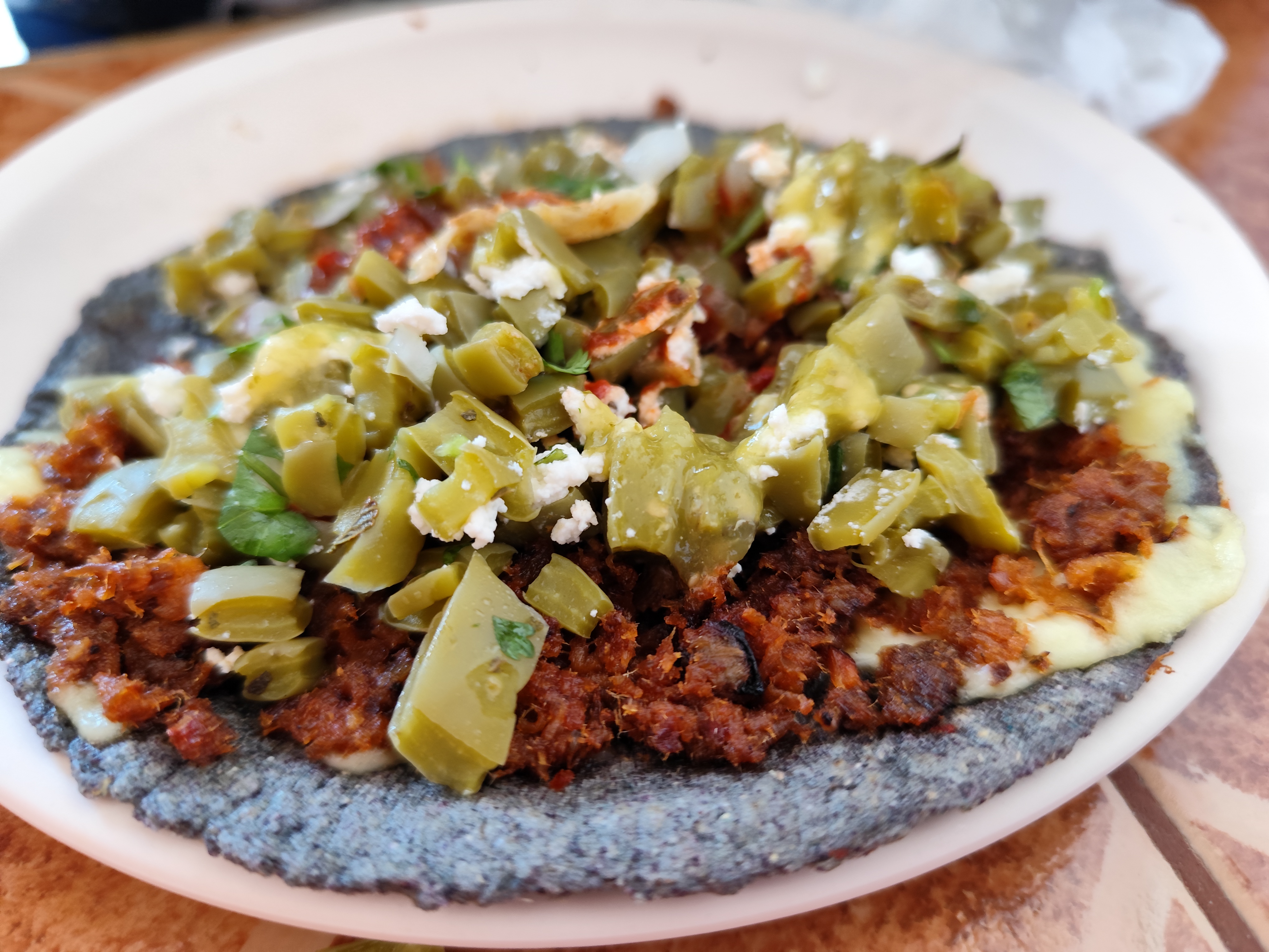 Nopalísimo Fco. de Montejo image 8